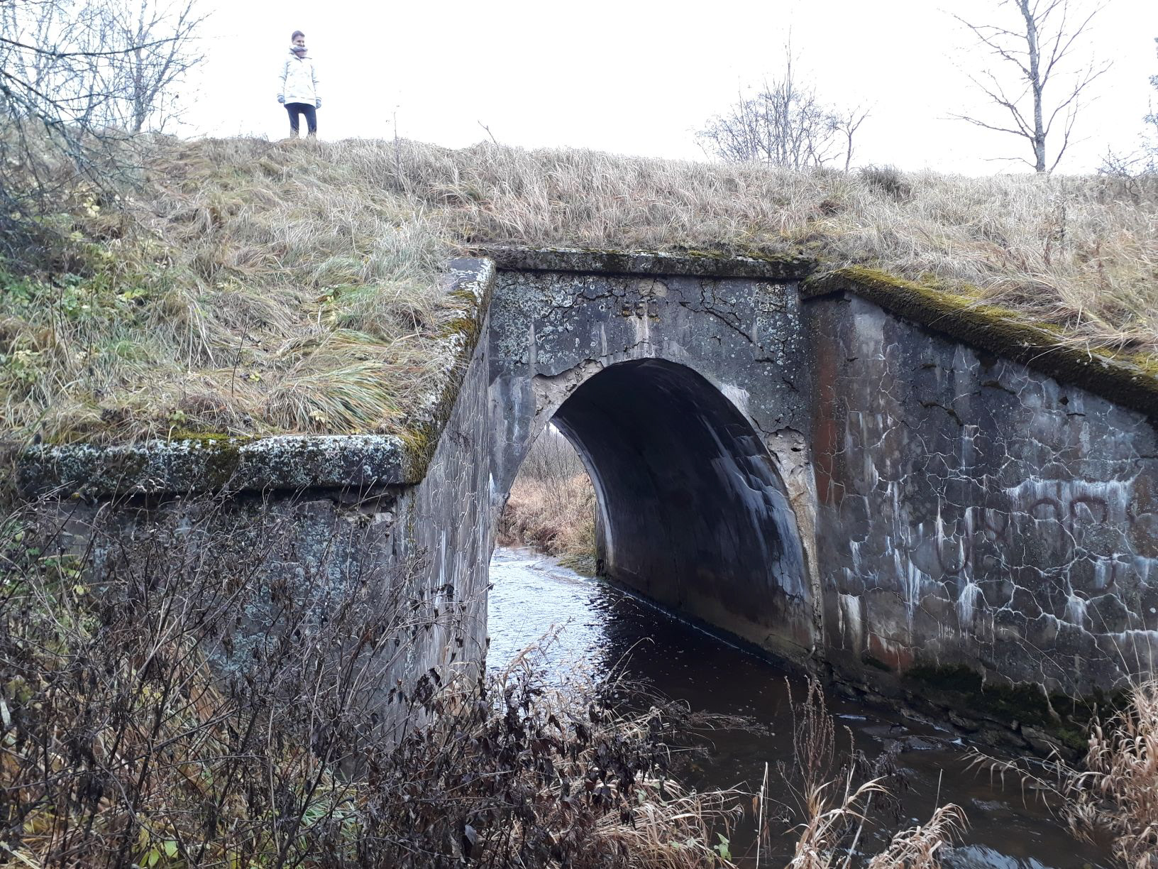 Ujuste sild Kaagjärve - Koikküla harul. Ujuste bridge on Kaagjärve - Koikküla section.