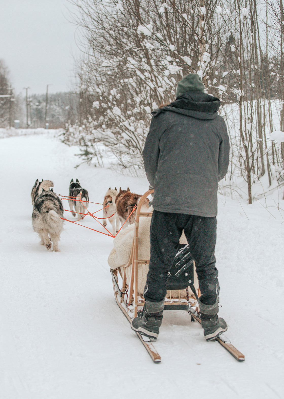 "DodKepu.lv" brauciens ar haskijiem