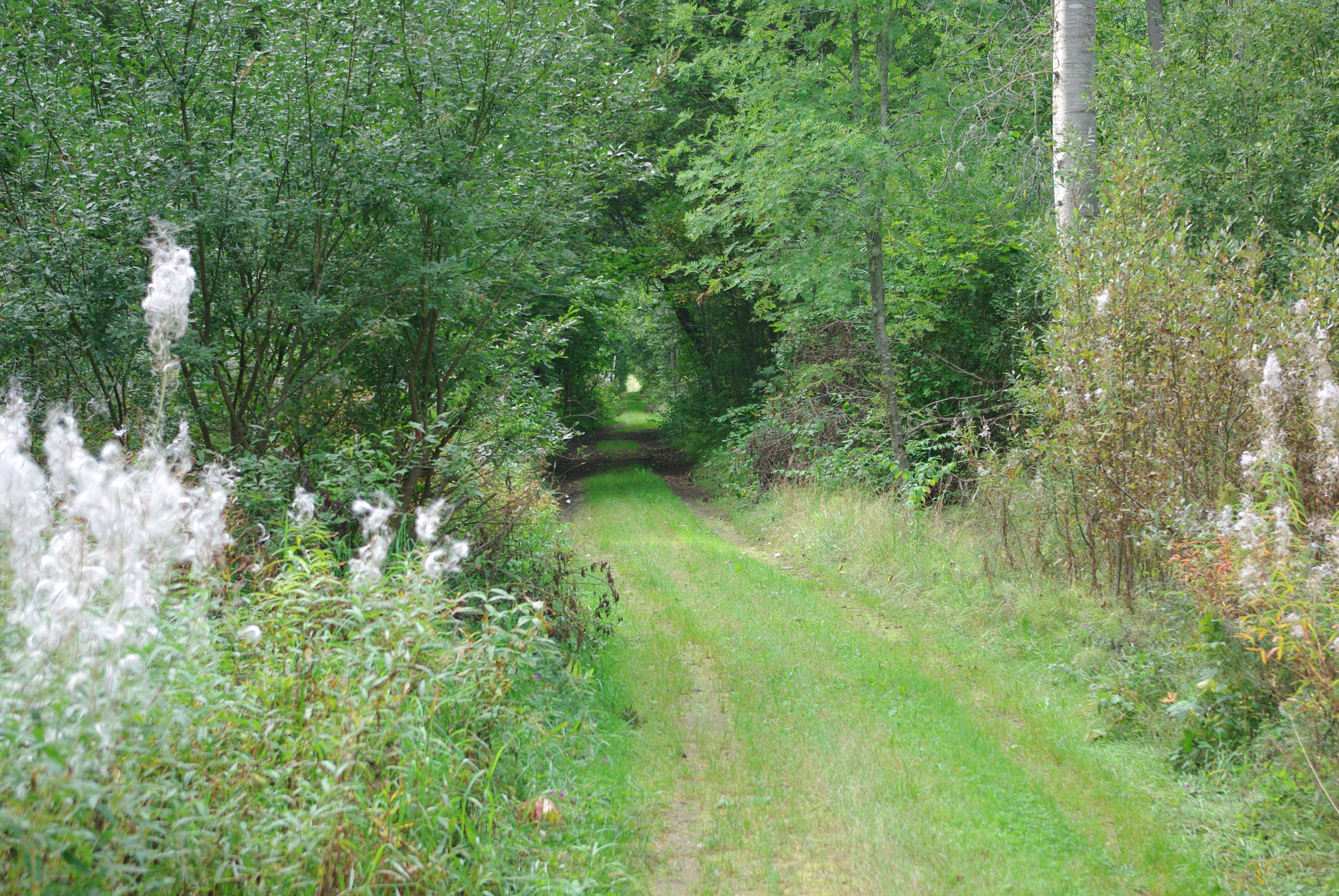 40 km. Rada Abja-Paluoja ja Mõisaküla vahel. Trail between Abja-Paluoja and Mõisaküla.