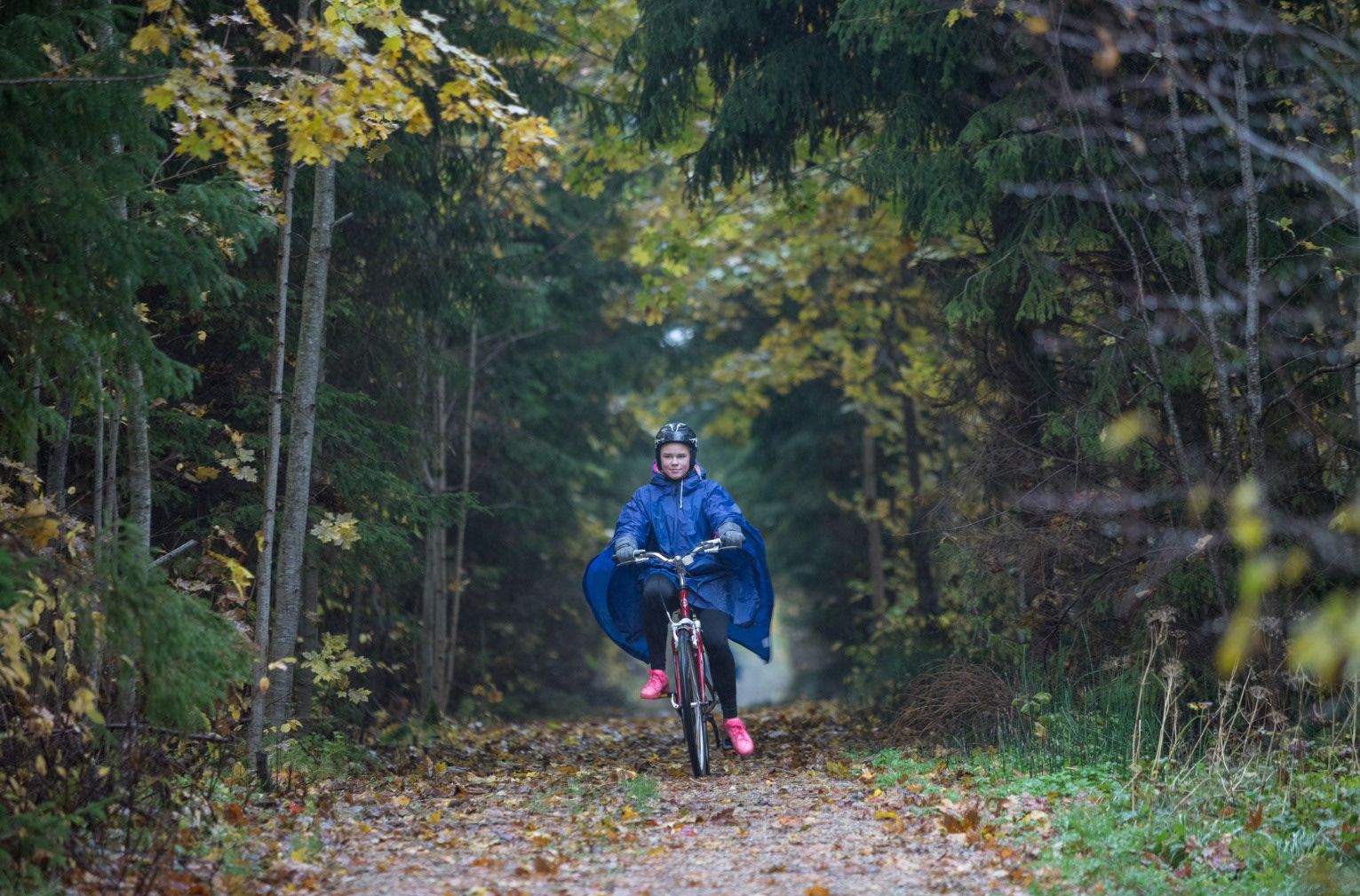 5 km. Rada Kivi turismitalu lähedal. Trail near Kivi tourism farm.