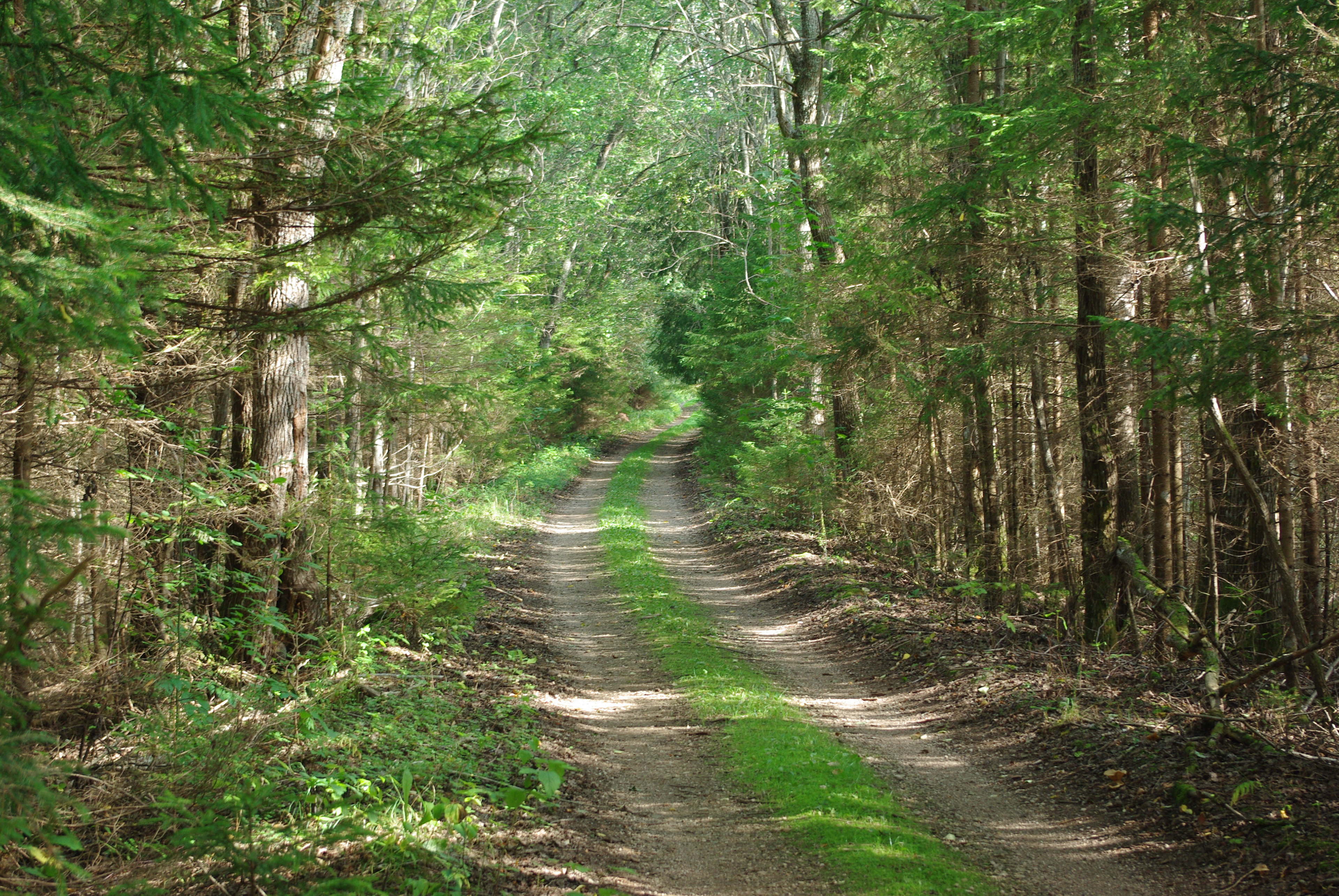 37 km. Rada Abja-Paluoja lähedal. Trail near Abja-Paluoja.