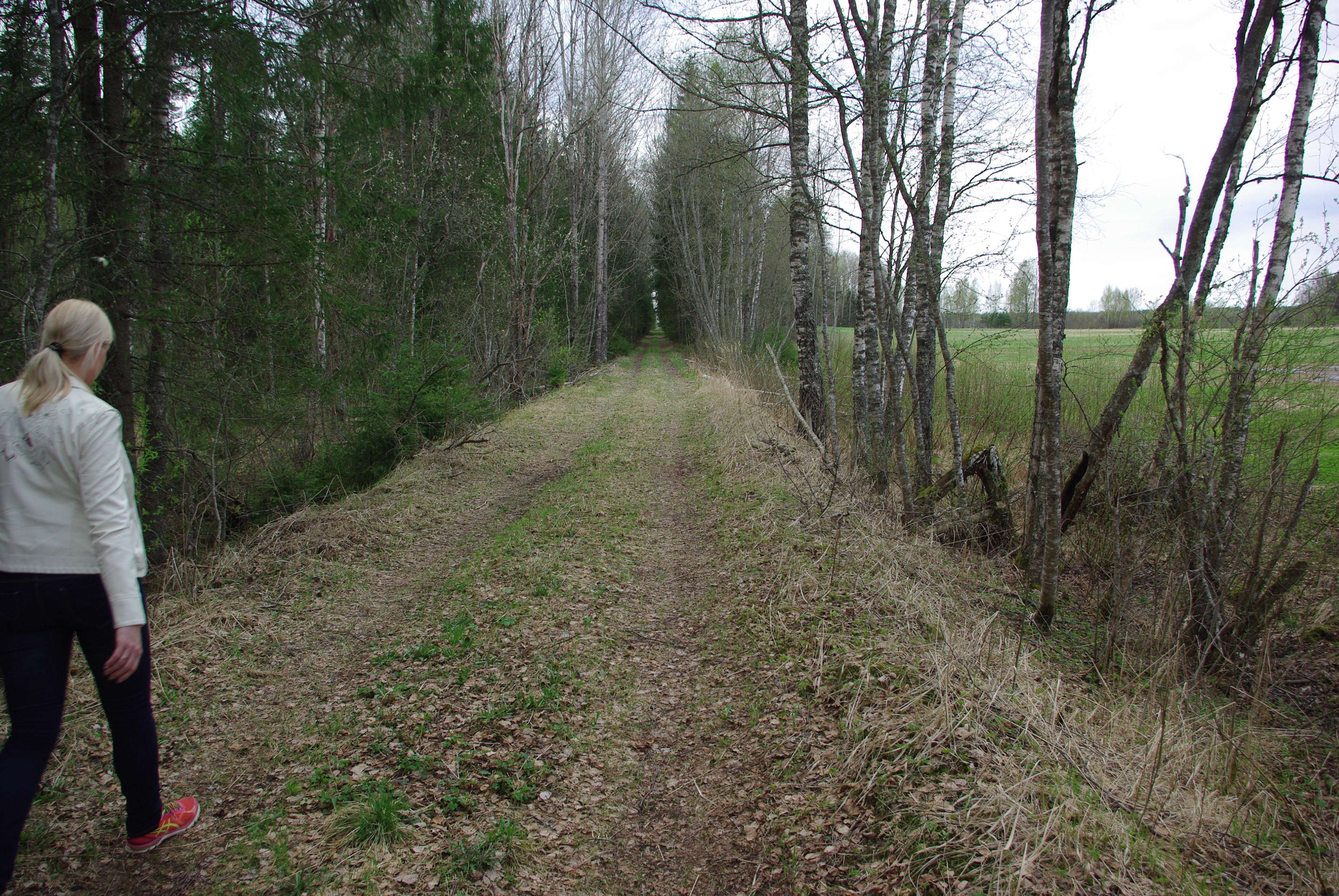 53 km. Rada Ape lähedal. Trail near Ape.