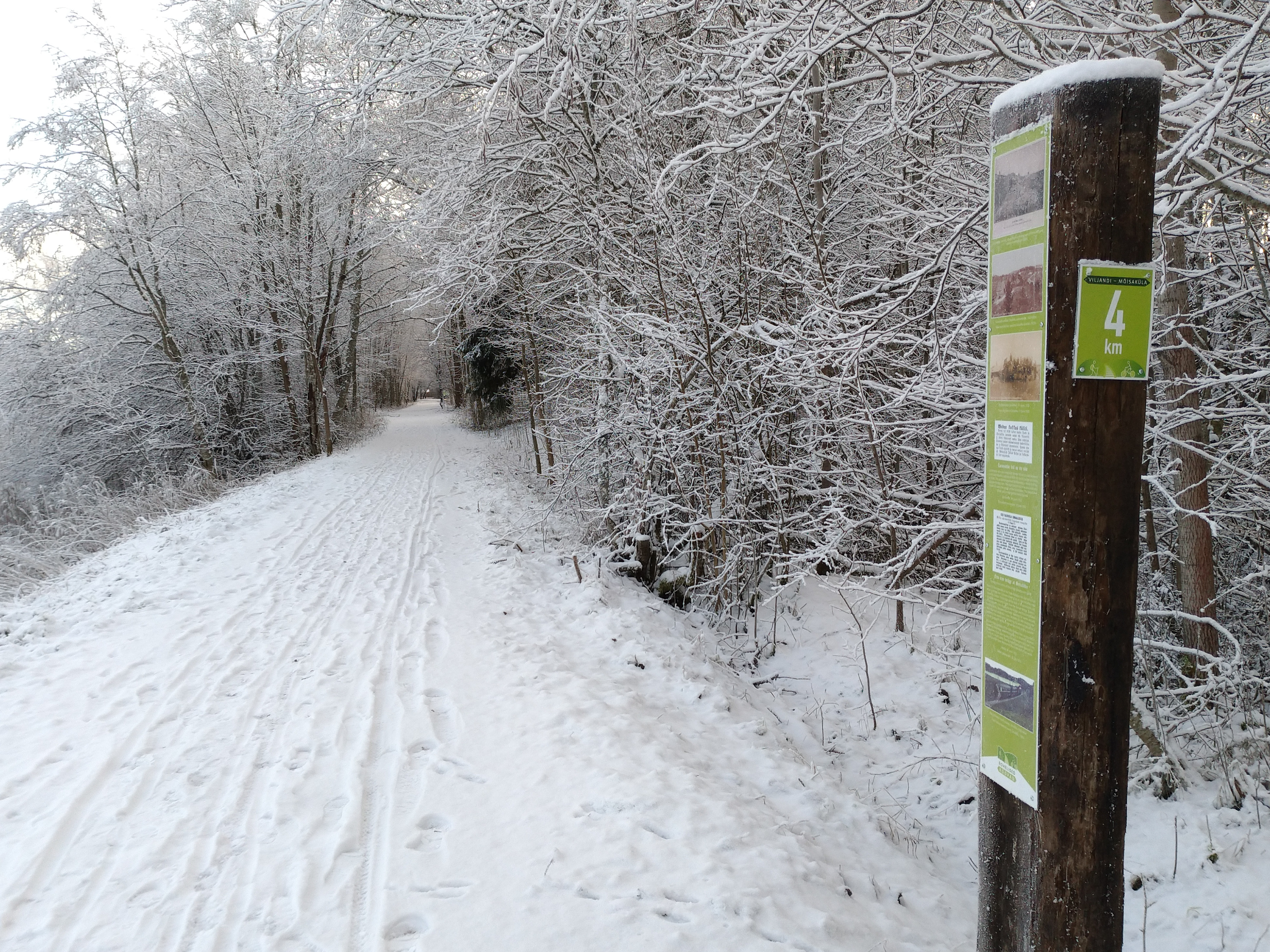 4 km. Rada Sinialliku järve lähedal. Trail near Lake Sinialliku.