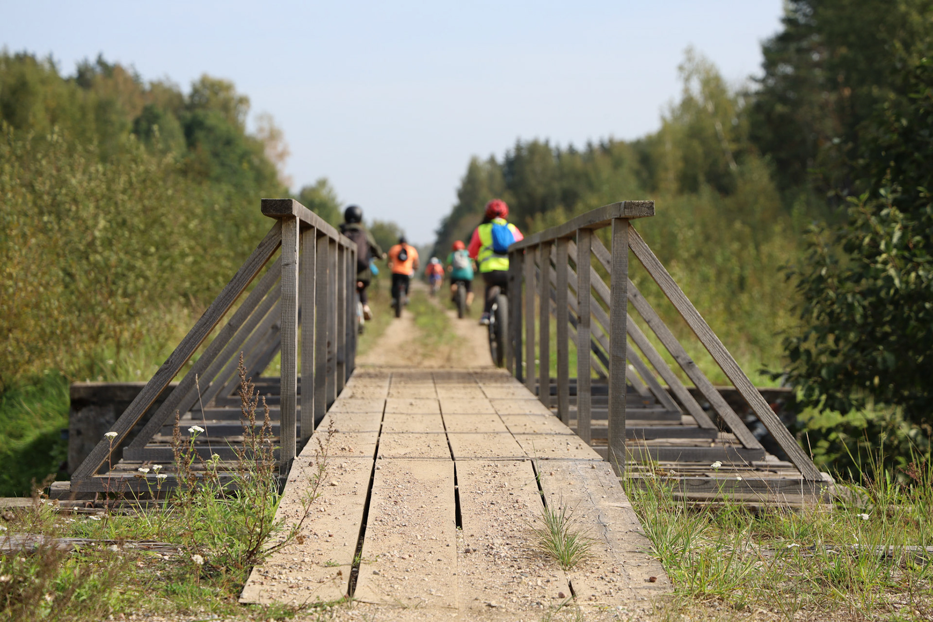 Pedestrian and cyclist bridge