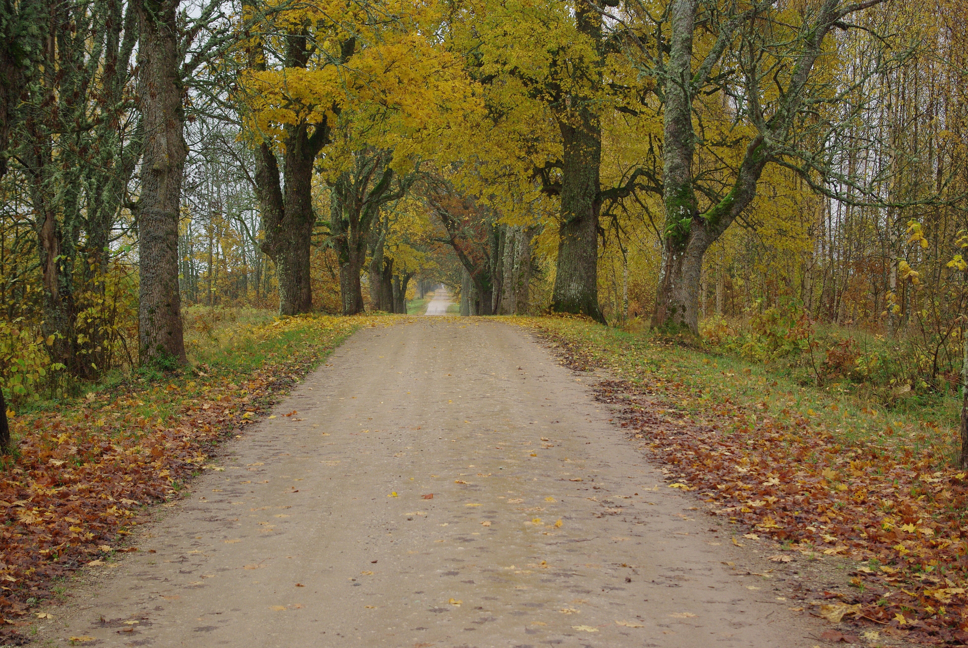 32 km. Matkaraja ümbersõit Abja mõisa kandis. Bypass near Abja manor.