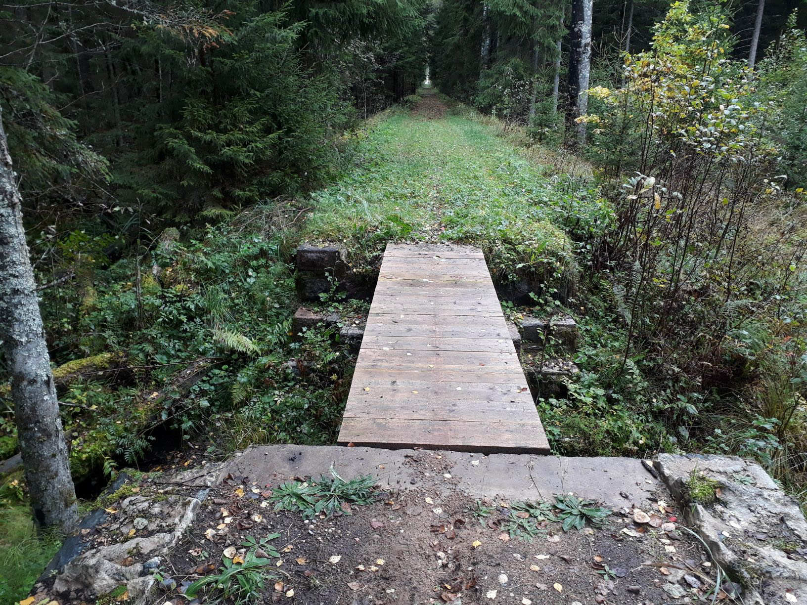 14 km. Rada Eesti - Läti piiri lähedal. Trail near Estonian - Latvian border.