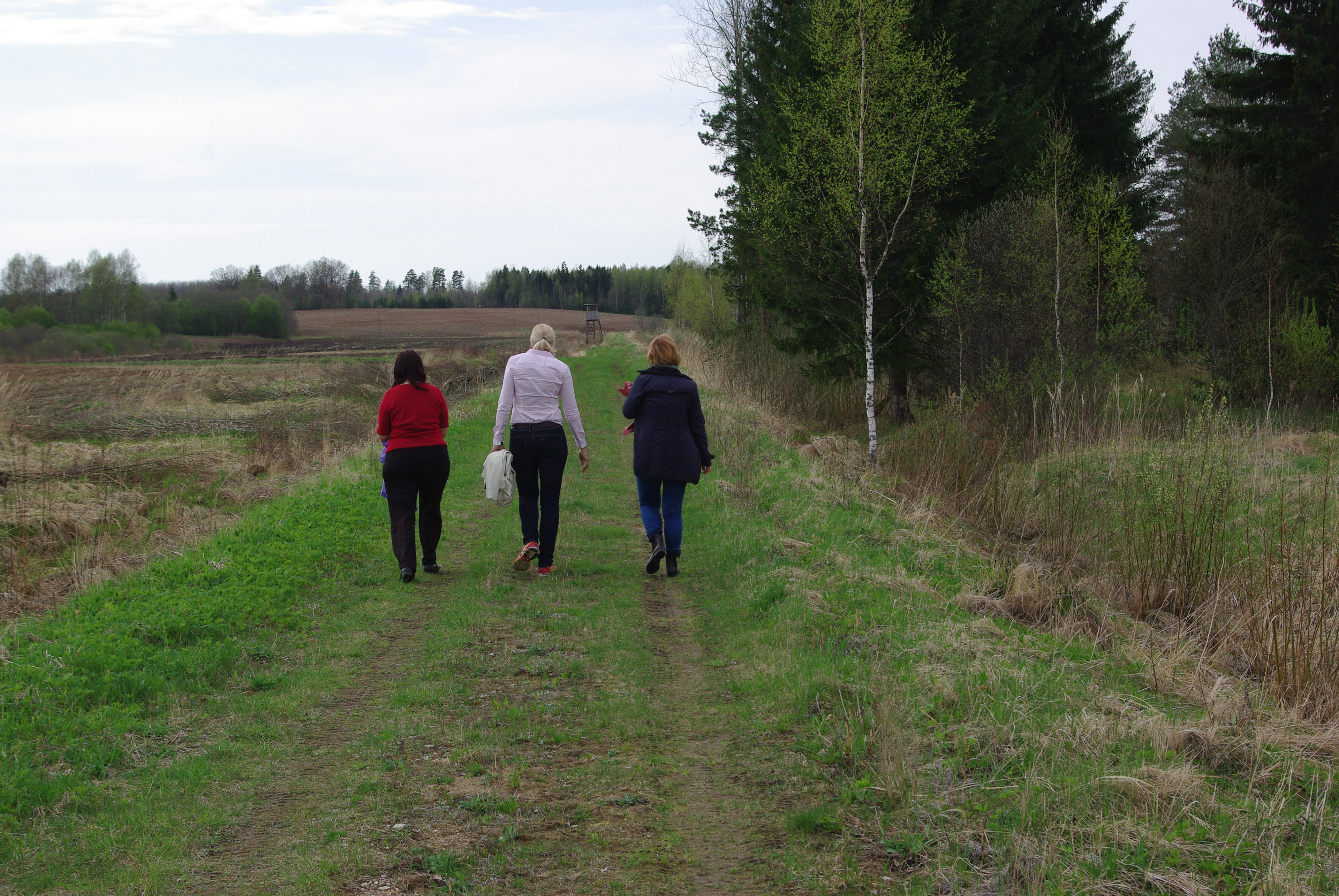52 km. Rada Ape lähedal. Trail near Ape.