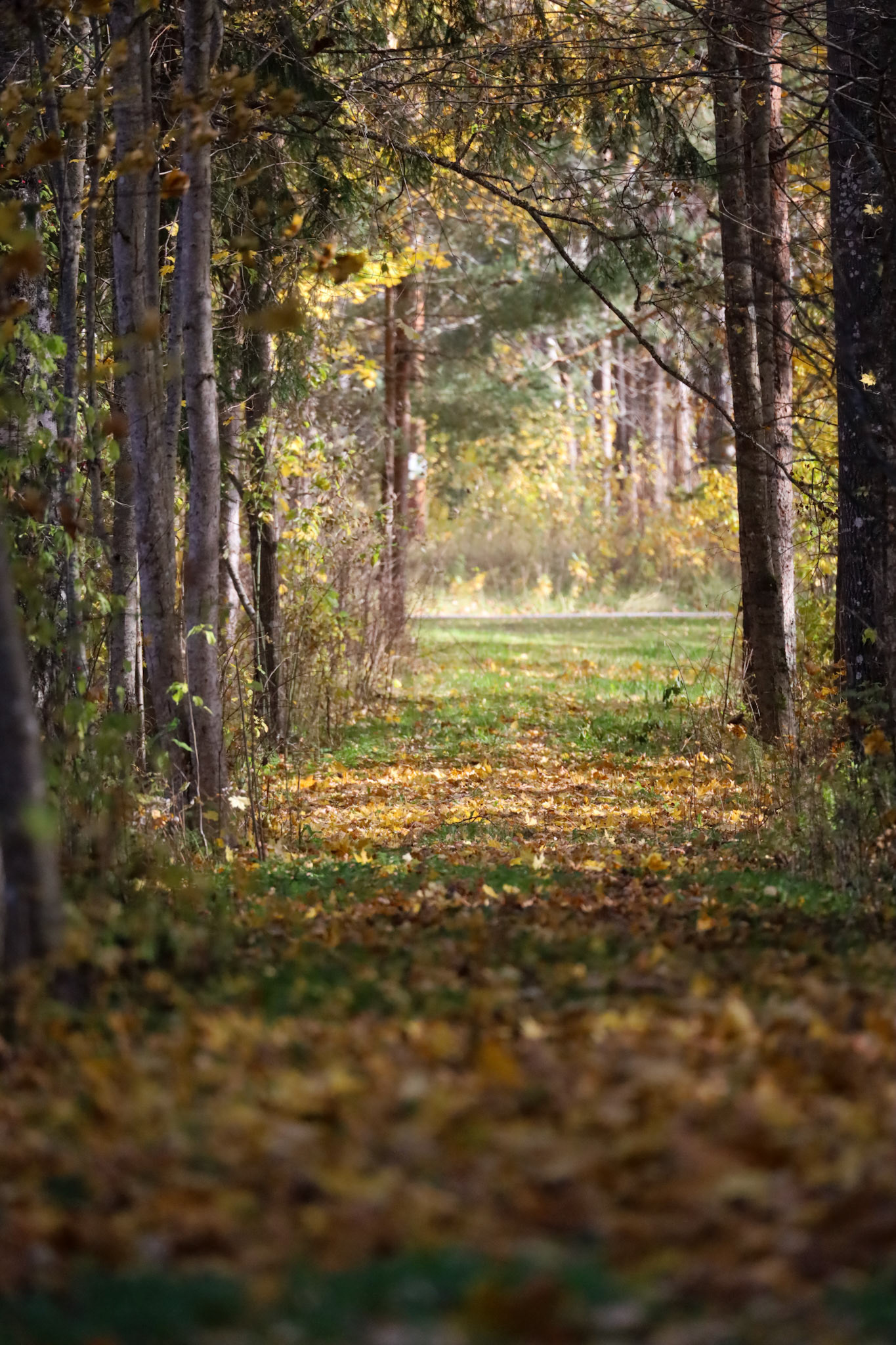 34. km in autumn