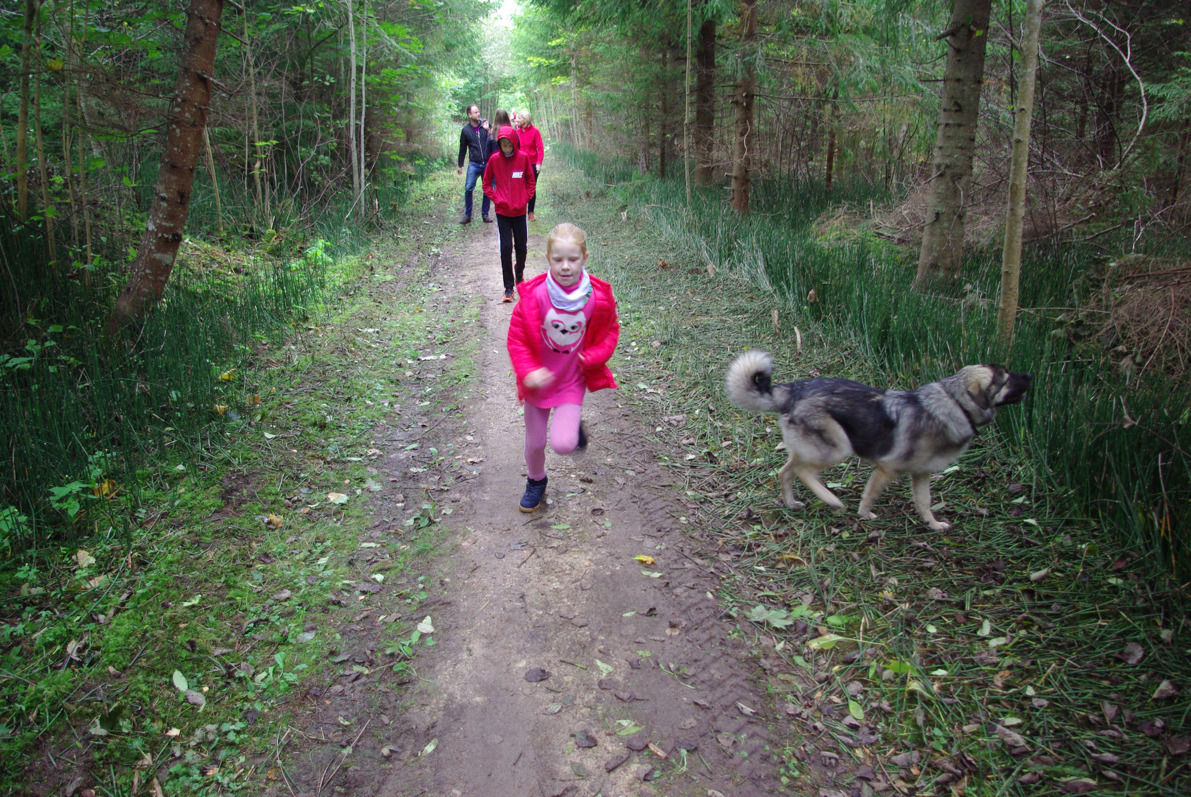 5 km. Rada Kivi turismitalu lähedal. Trail near Kivi tourism farm.