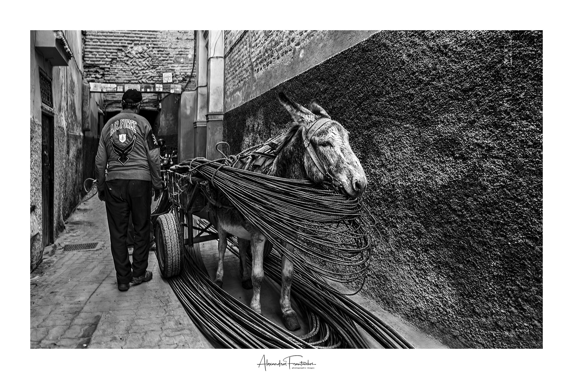 “A Silent Cry in the Alley”