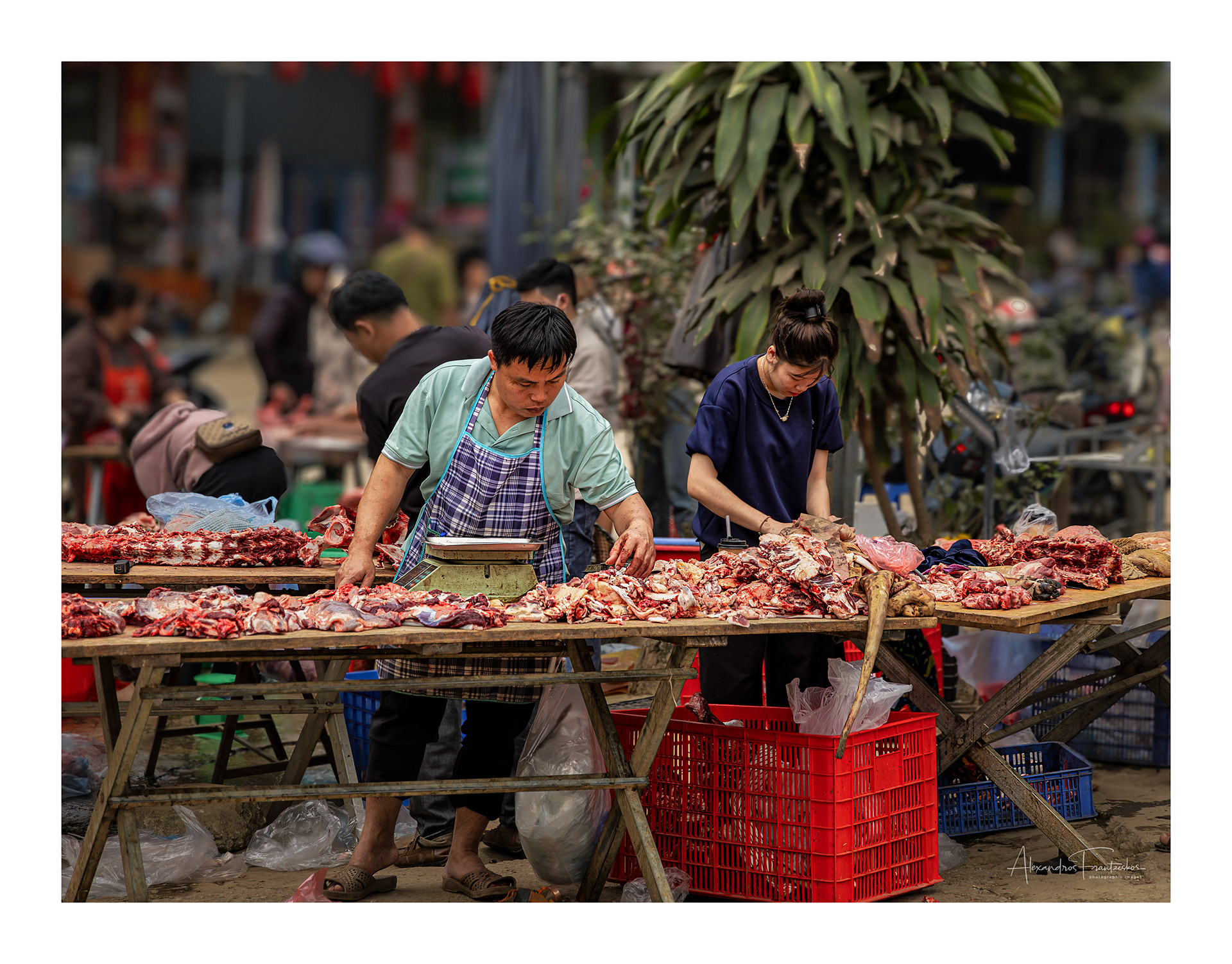 "Market Rhythms"
