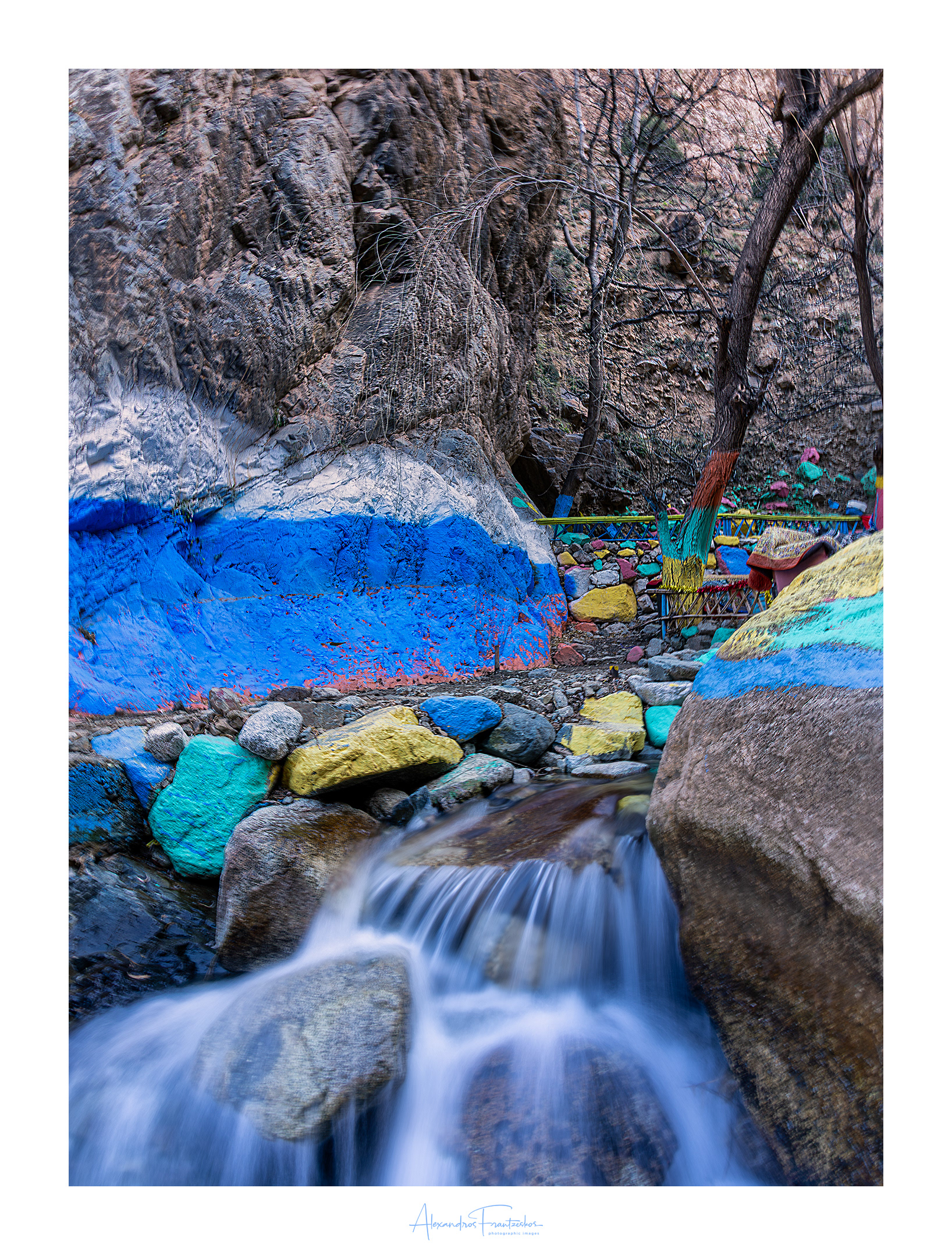 “A Painted Oasis” 