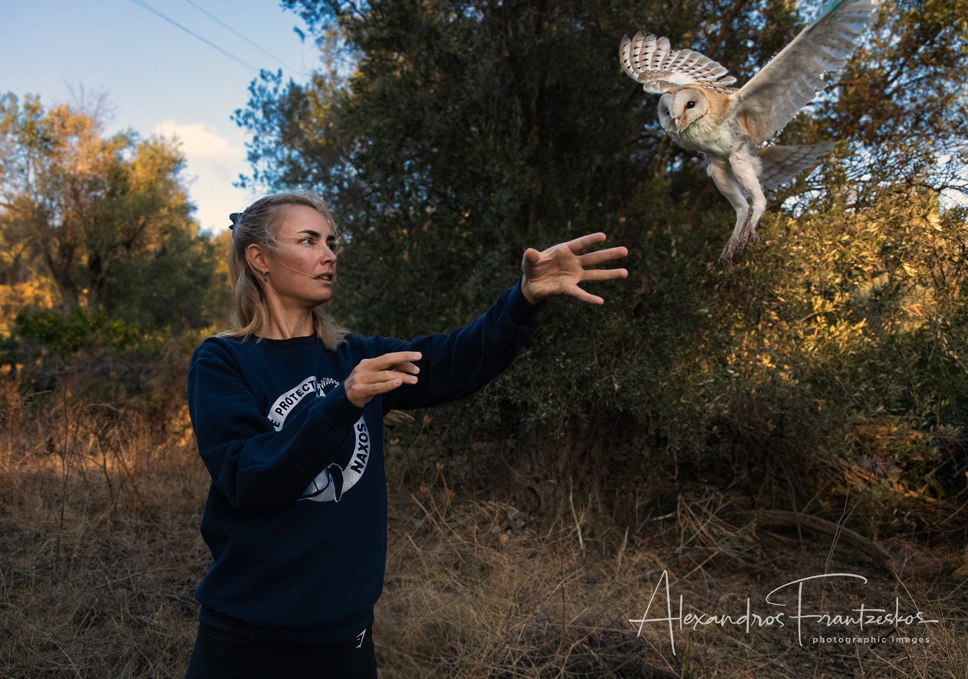 "Naxos Wild Life Protection" Owl release