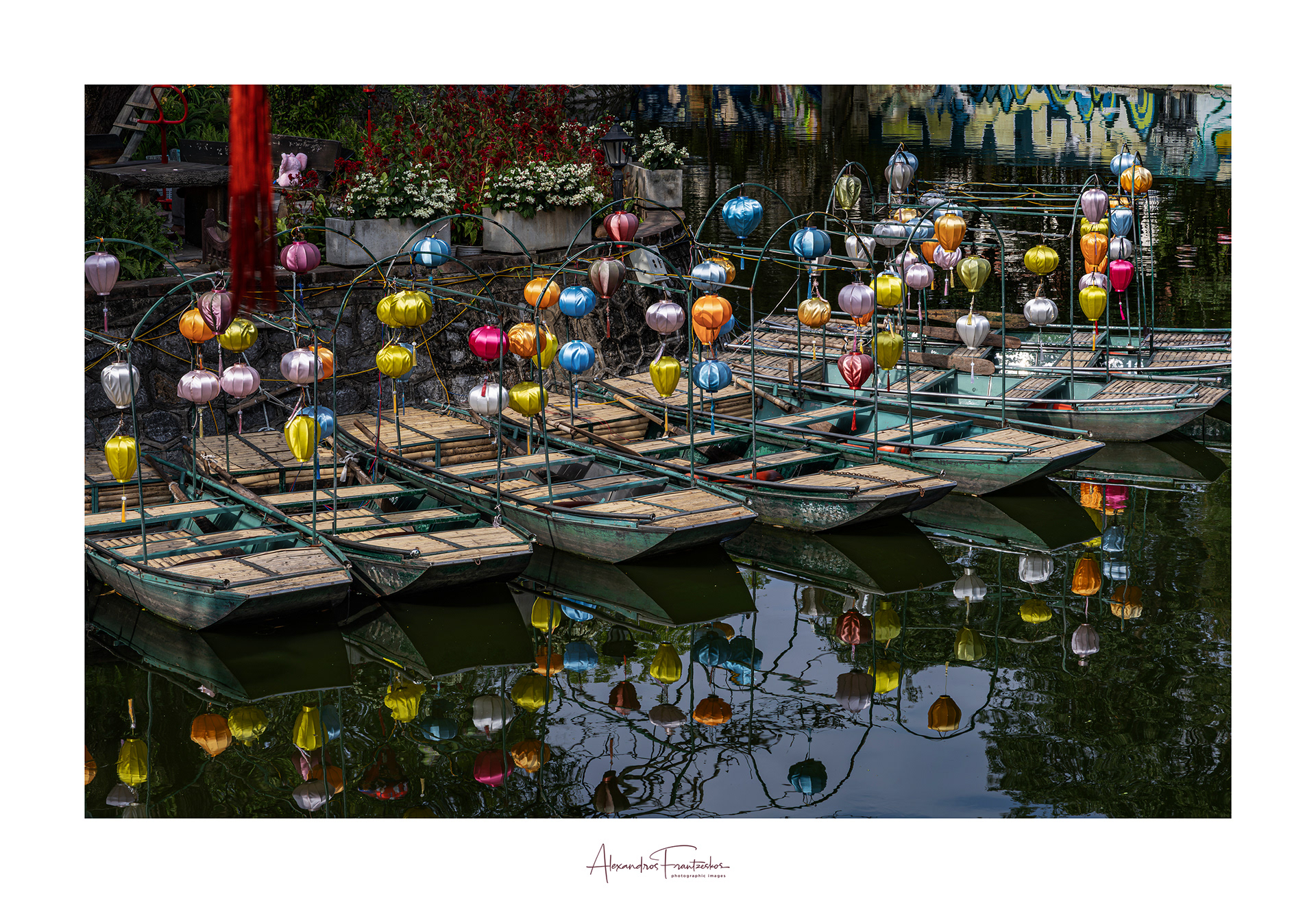 "Lanterns of the Tet"