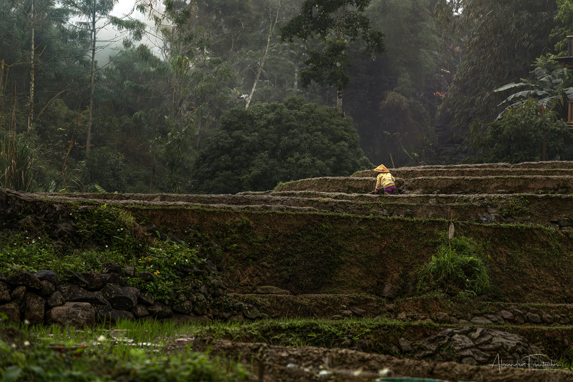 "Taming the Terraces"