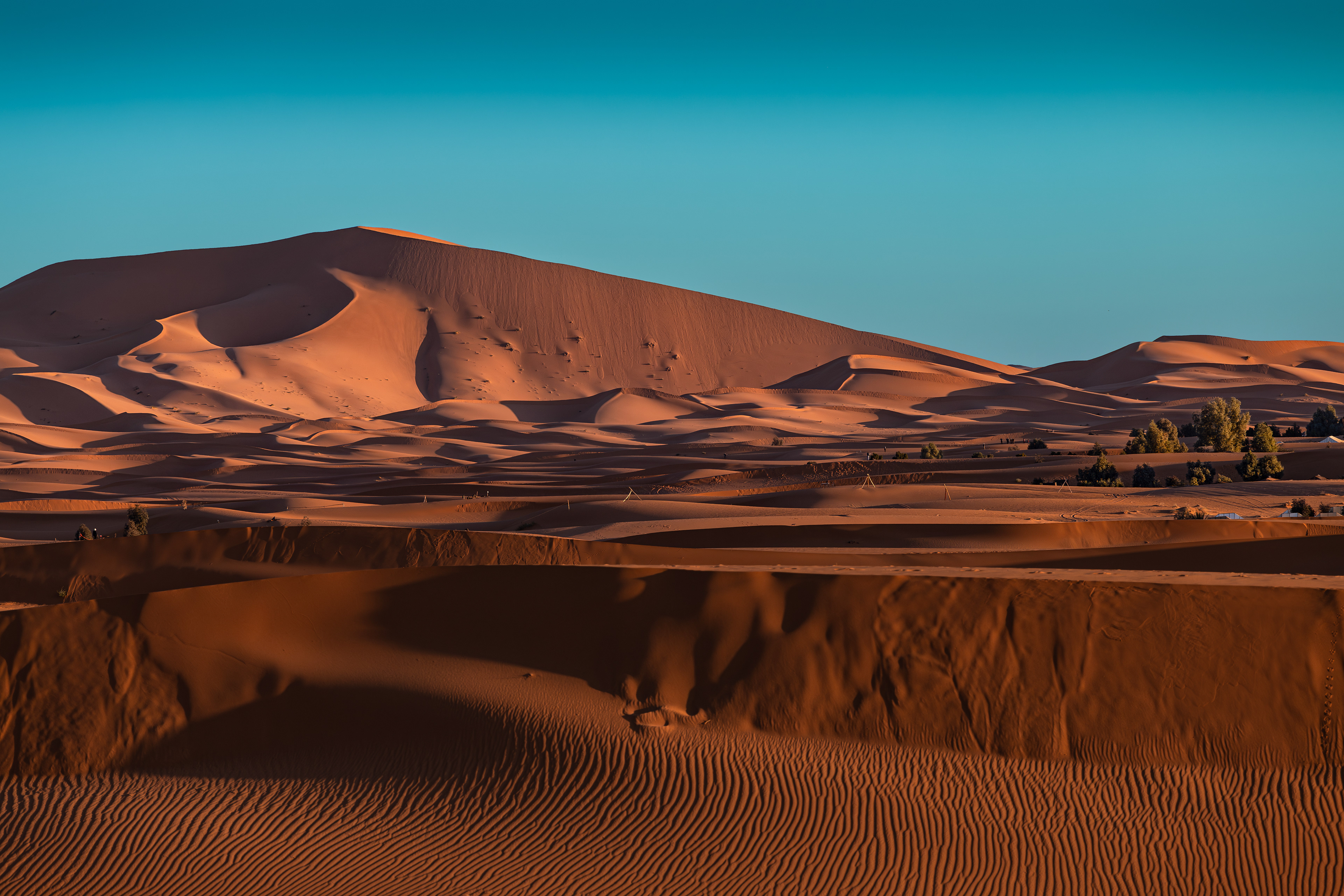 “Whispers of the Sahara”