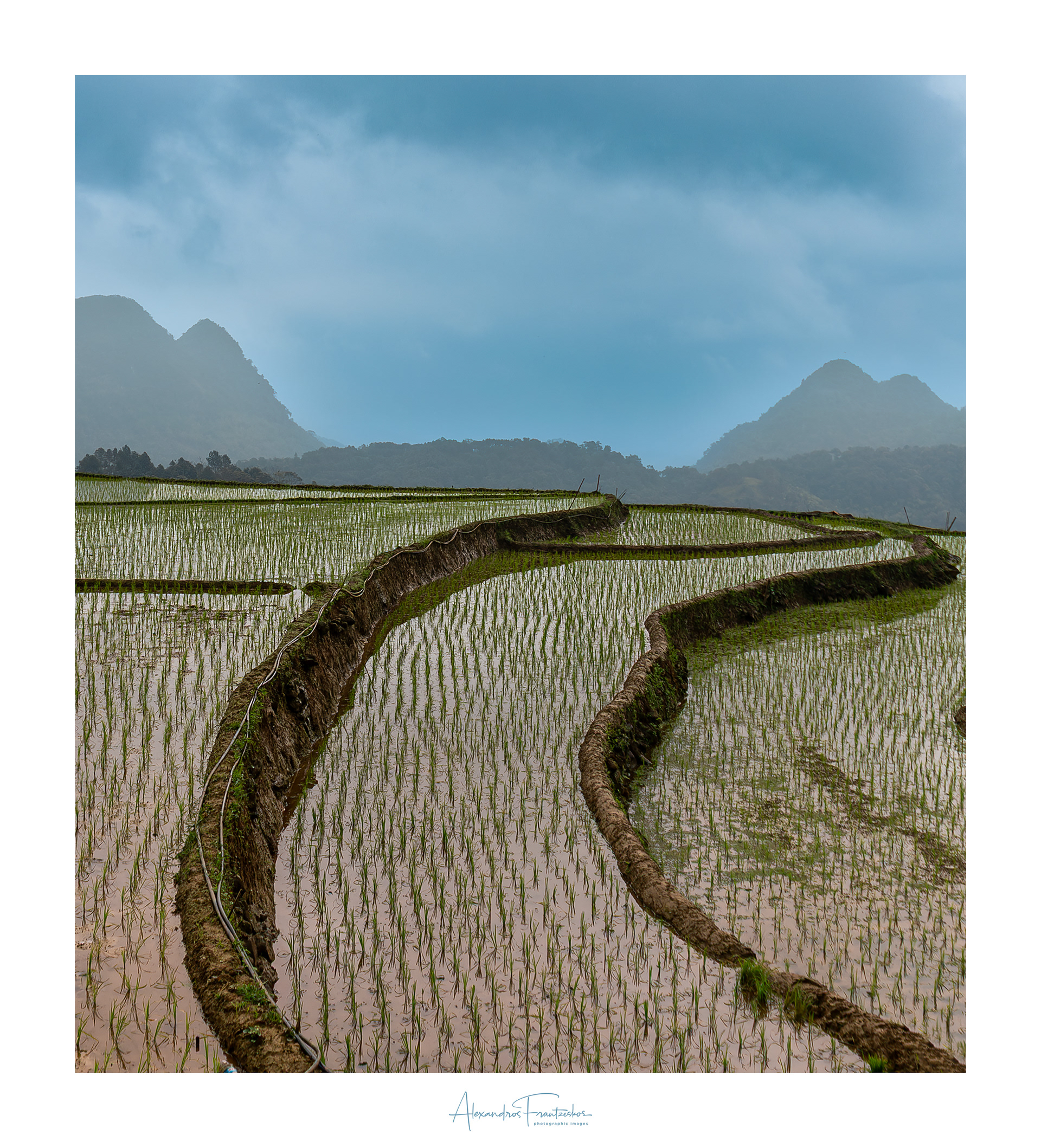 "Ancestral Fields, Future Yields"