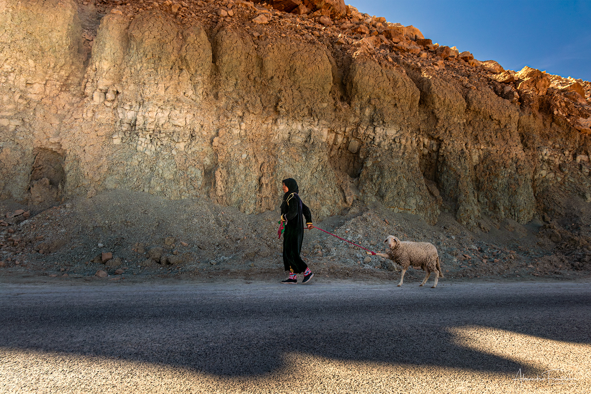 “The Girl and the Wool”