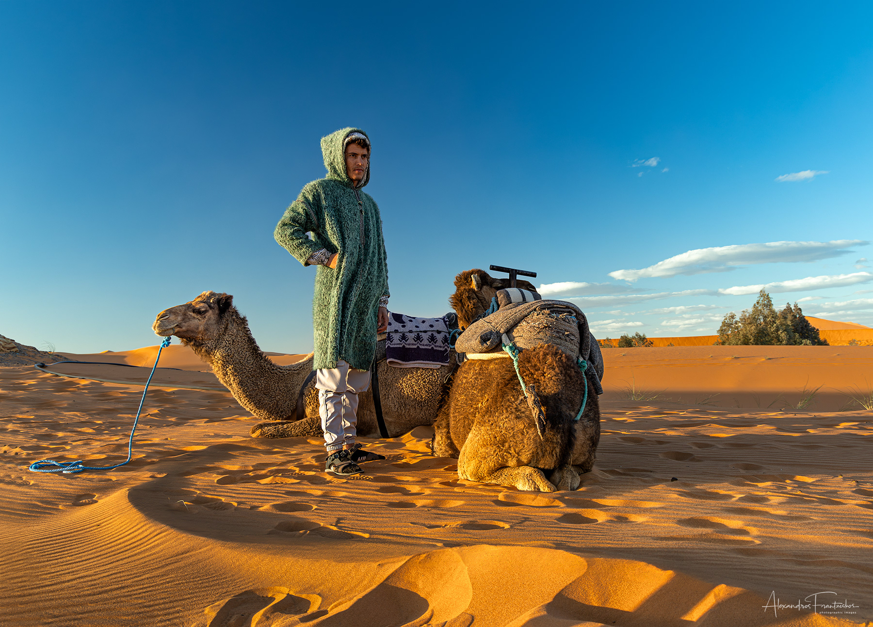 “Sentinel of the Sands”