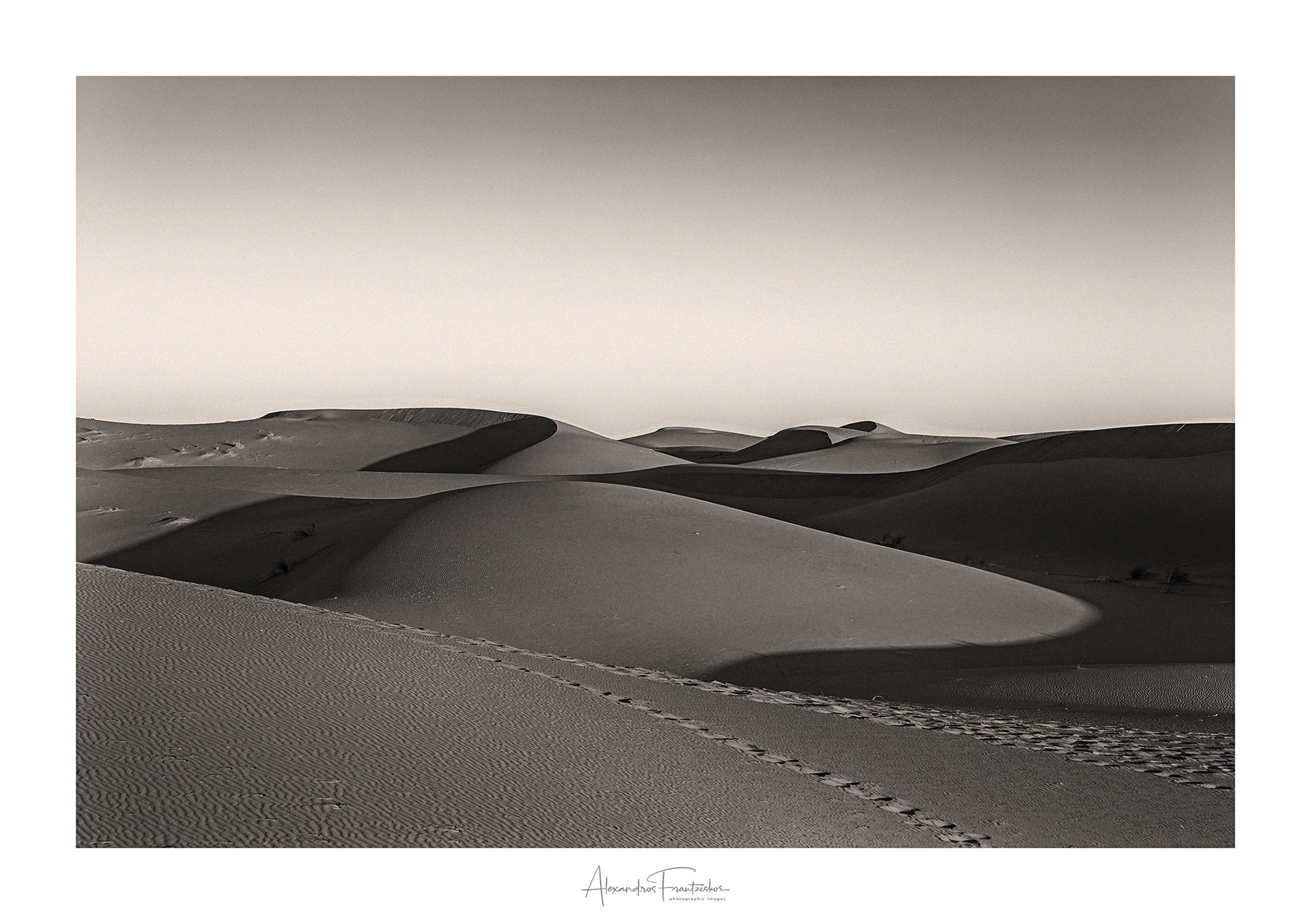 “The Silent Dunes”