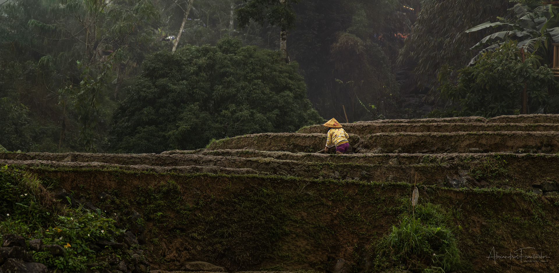 "Taming the Terraces"
