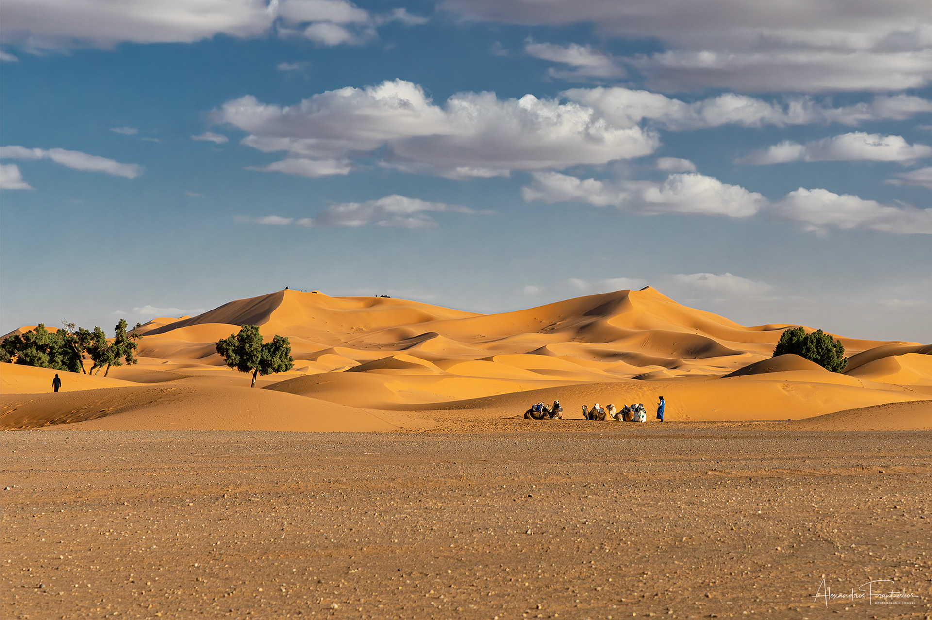 “Between Sand & Sky”