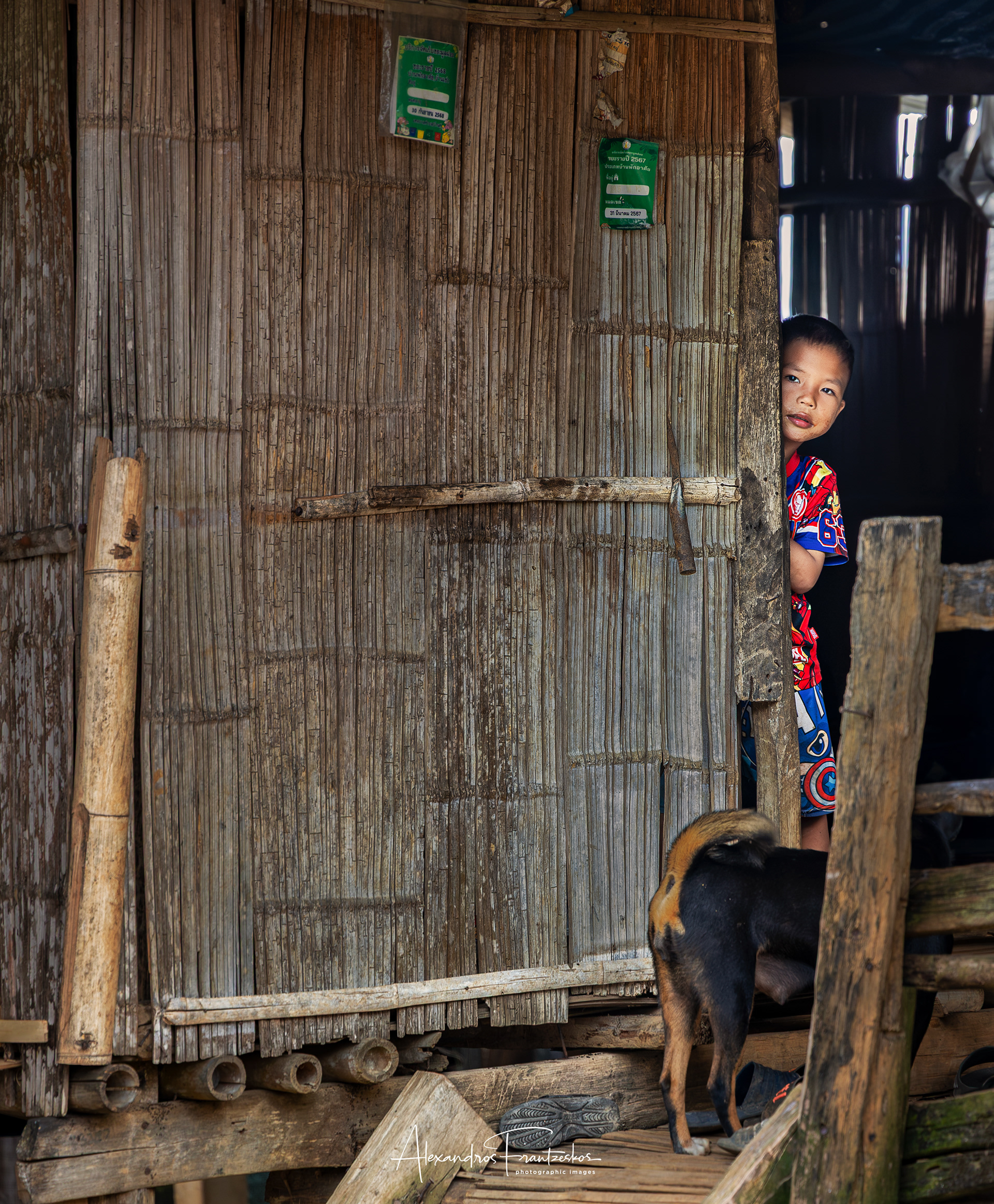 "A Glimpse of Curiosity"