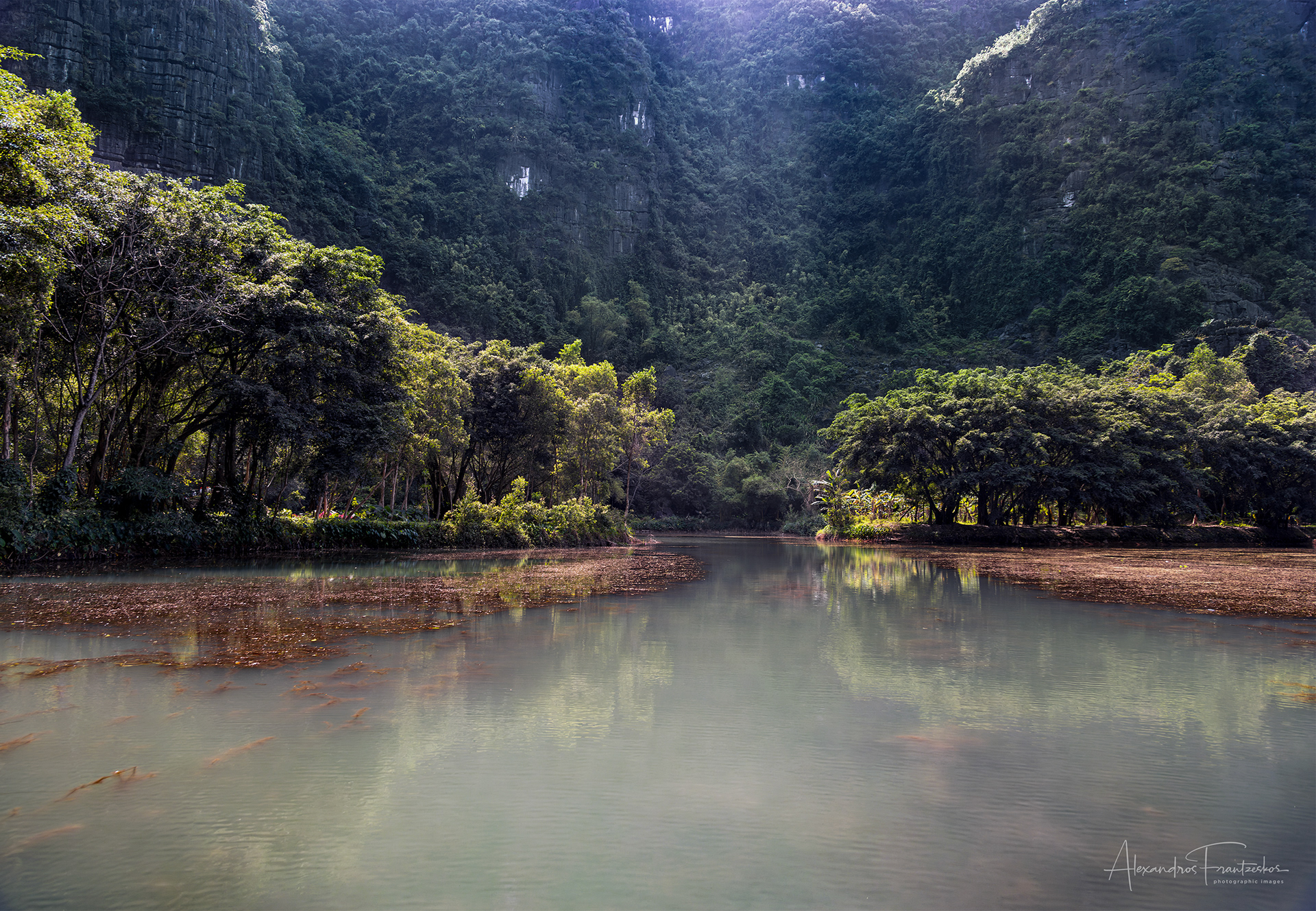 "Emerald Stillness"