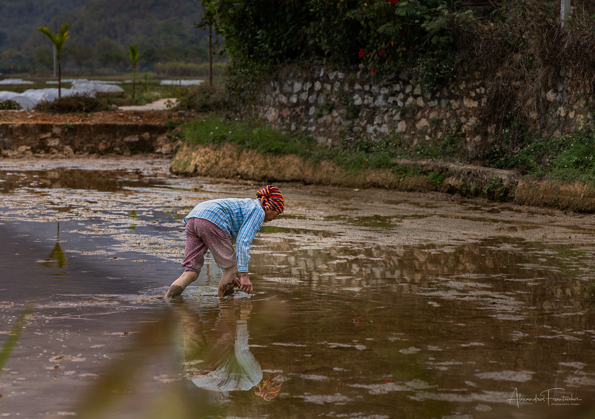 "Reflections of Toil"