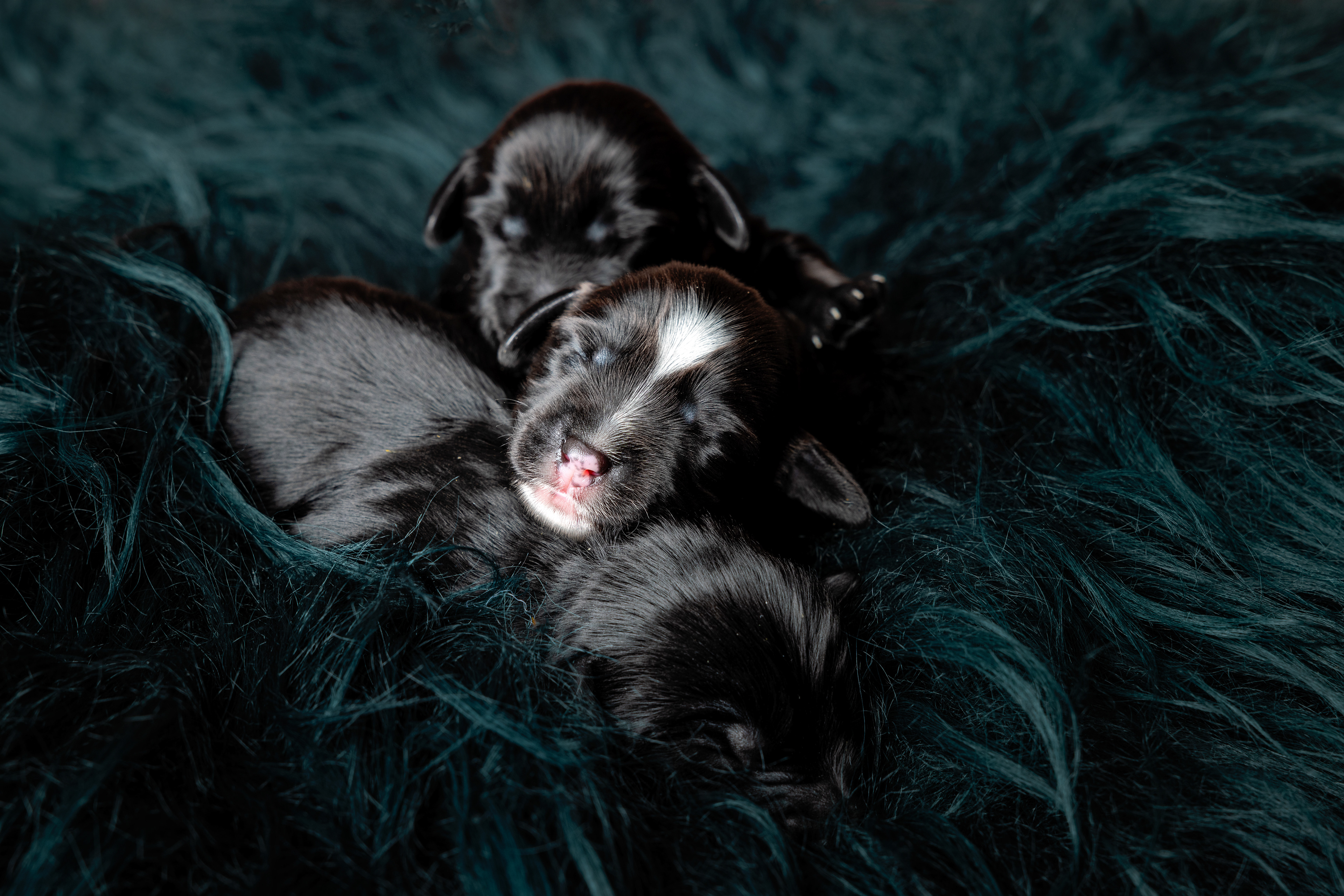 Black is beautiful!