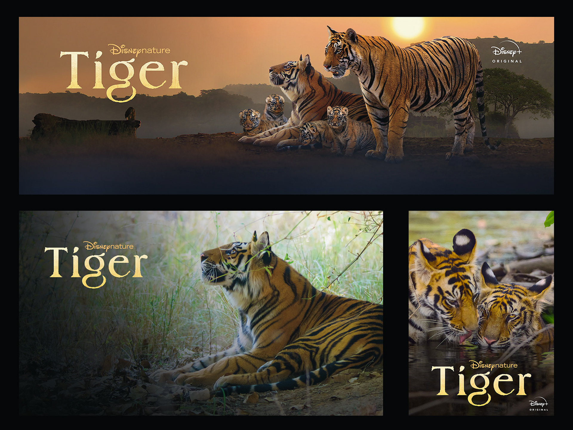 Finish • Eclipse, Disney+