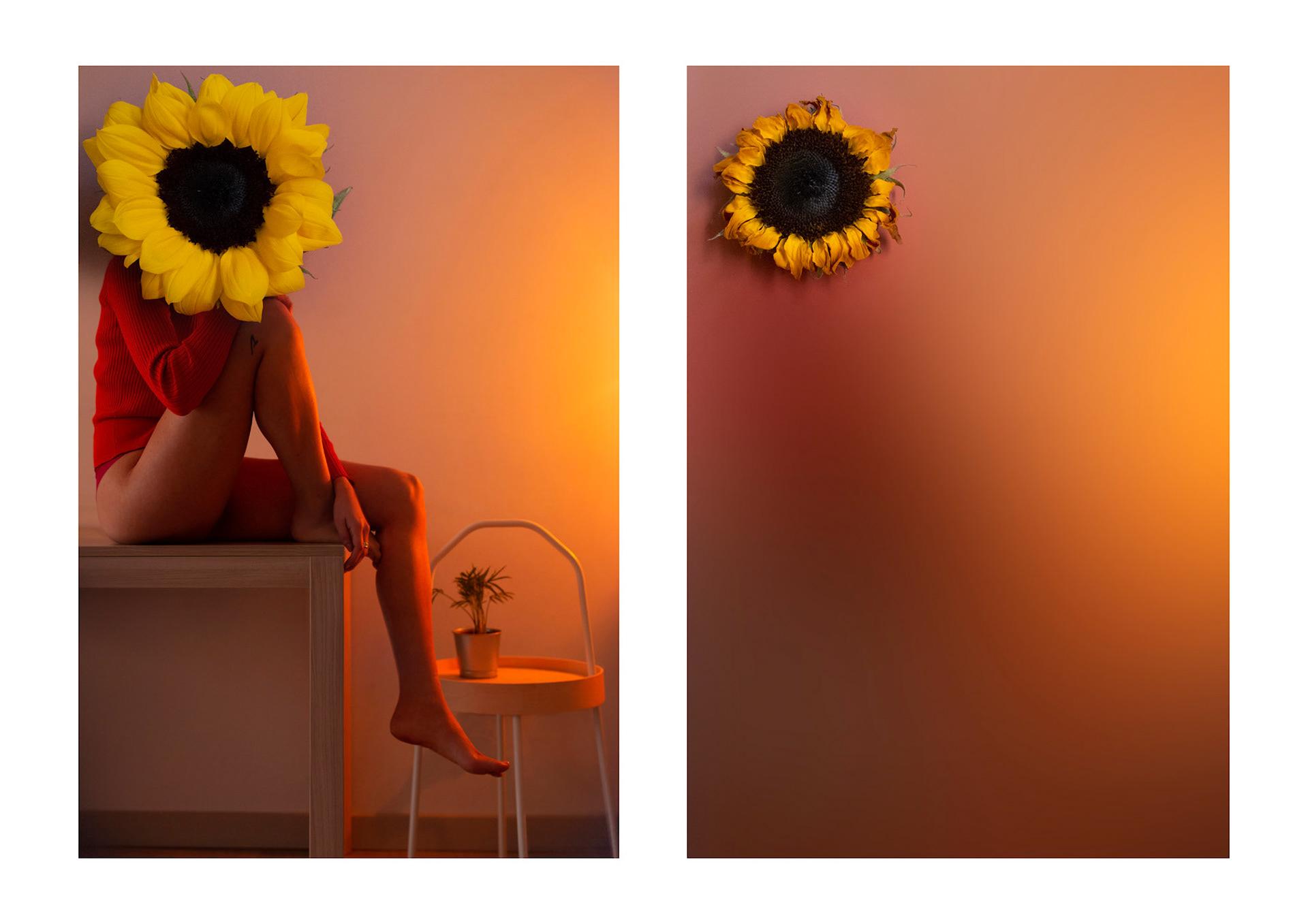 COSA SIAMO IO E TE SE NON COLORE?