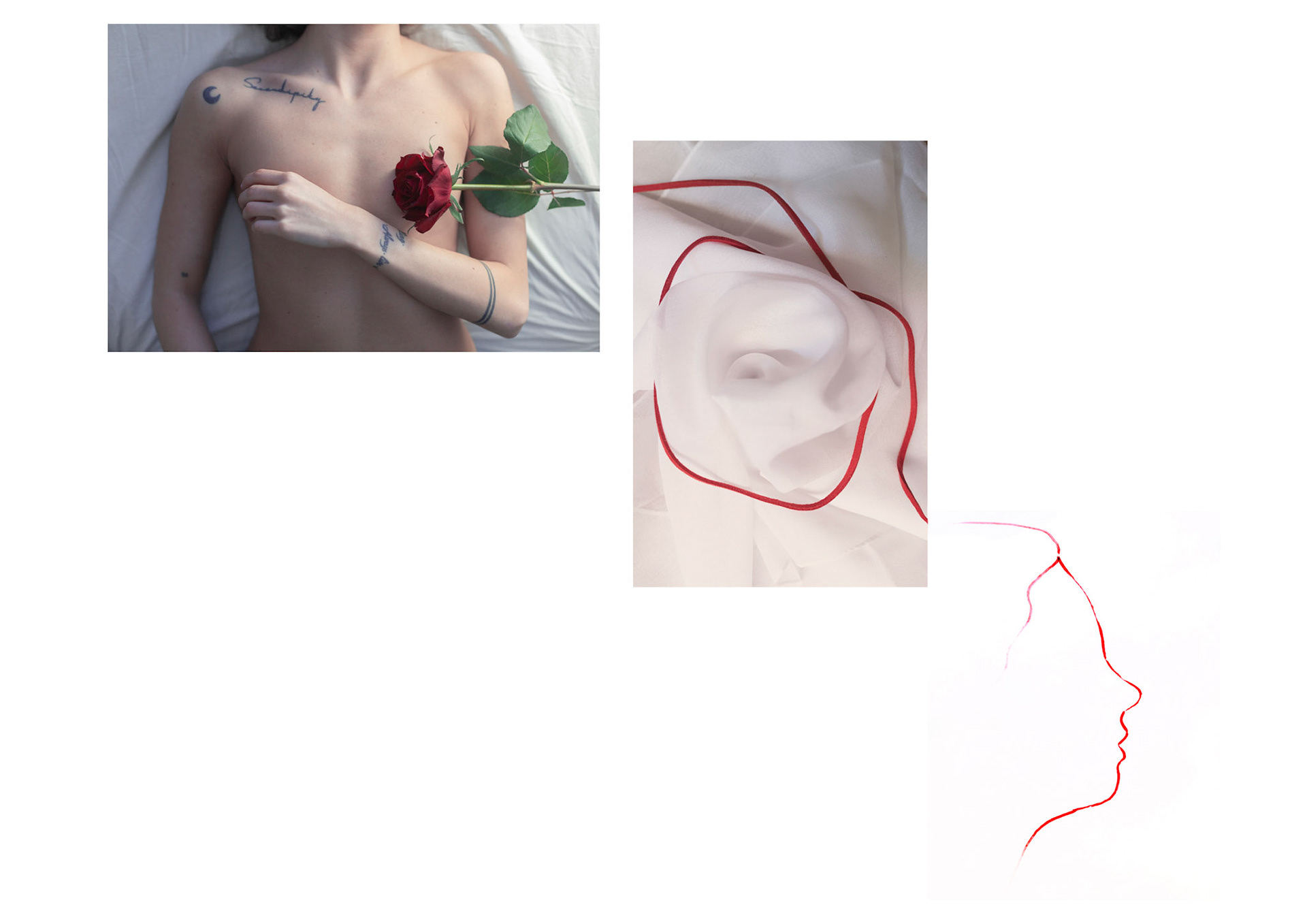 COSA SIAMO IO E TE SE NON COLORE?