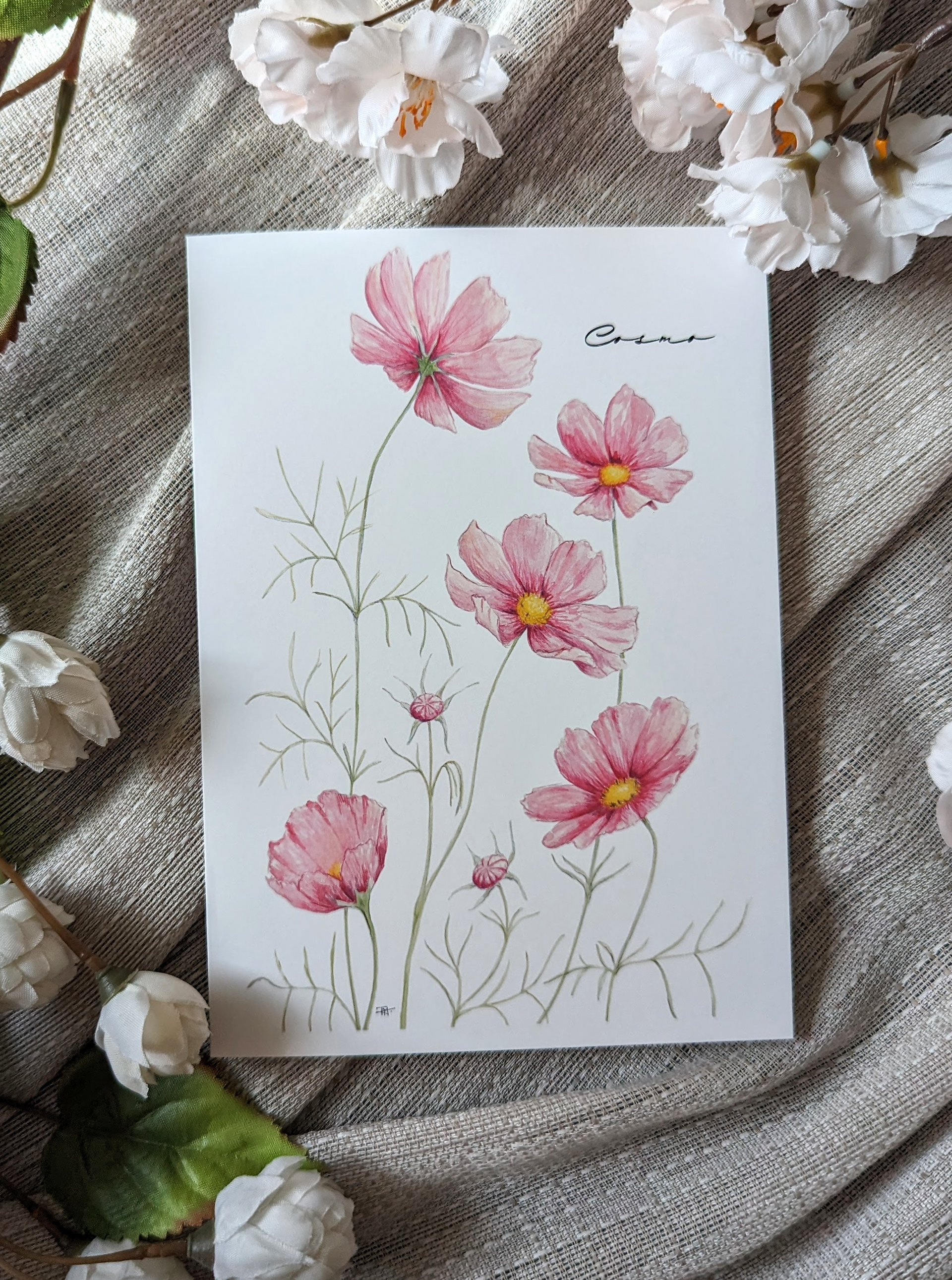 Cosmo 5x7