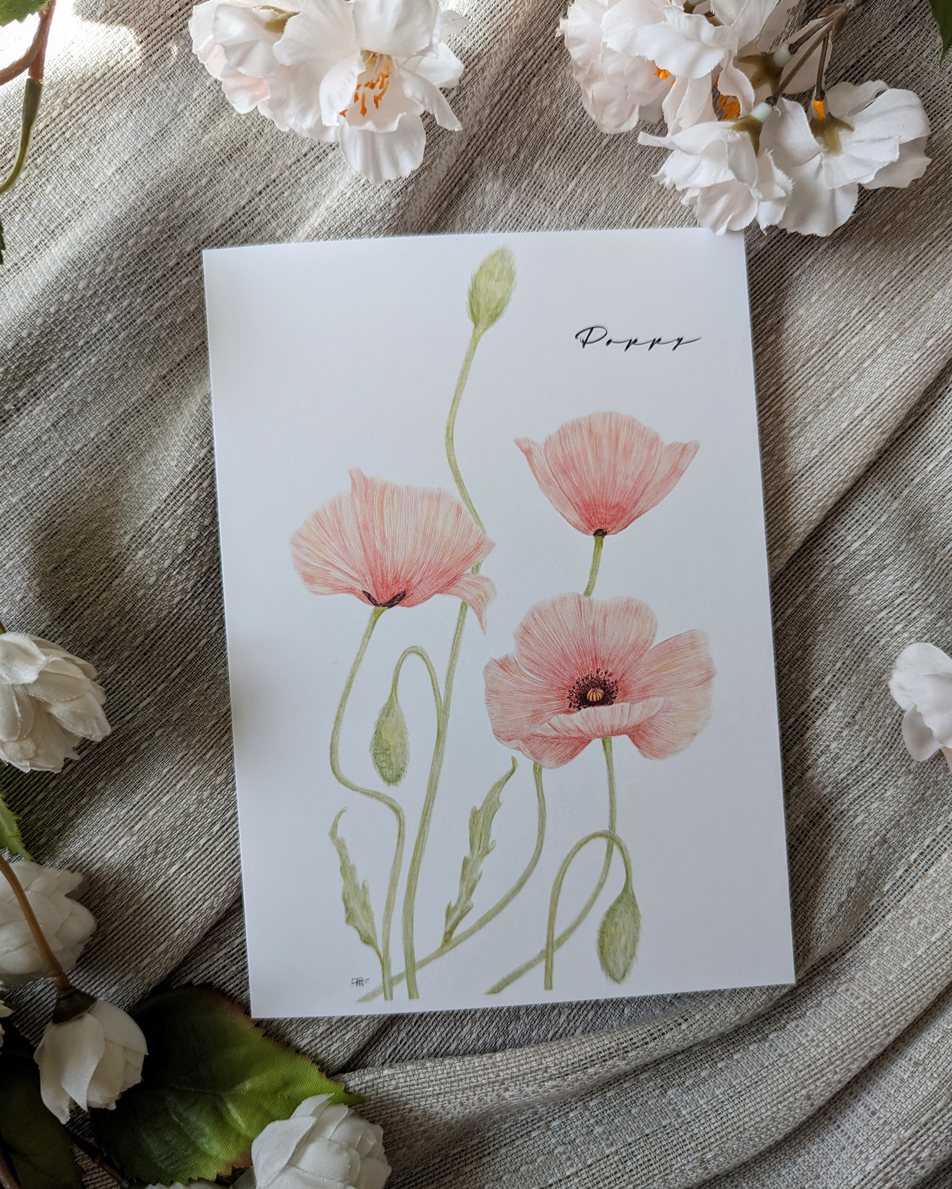 Poppy 5x7