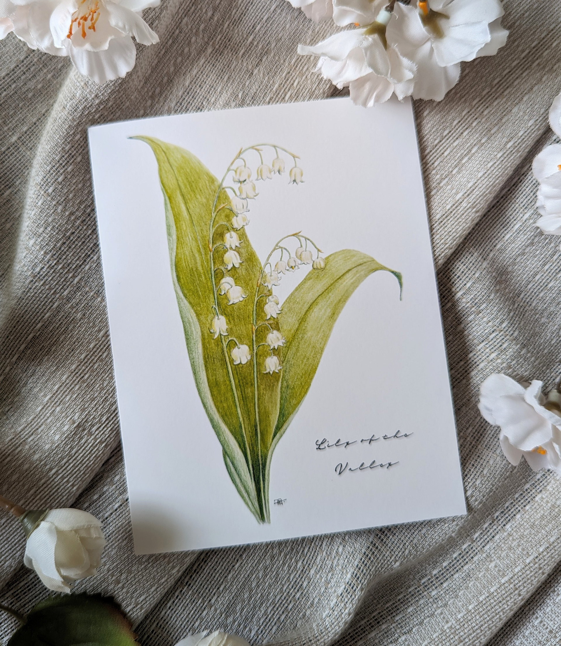Lily of the Valley