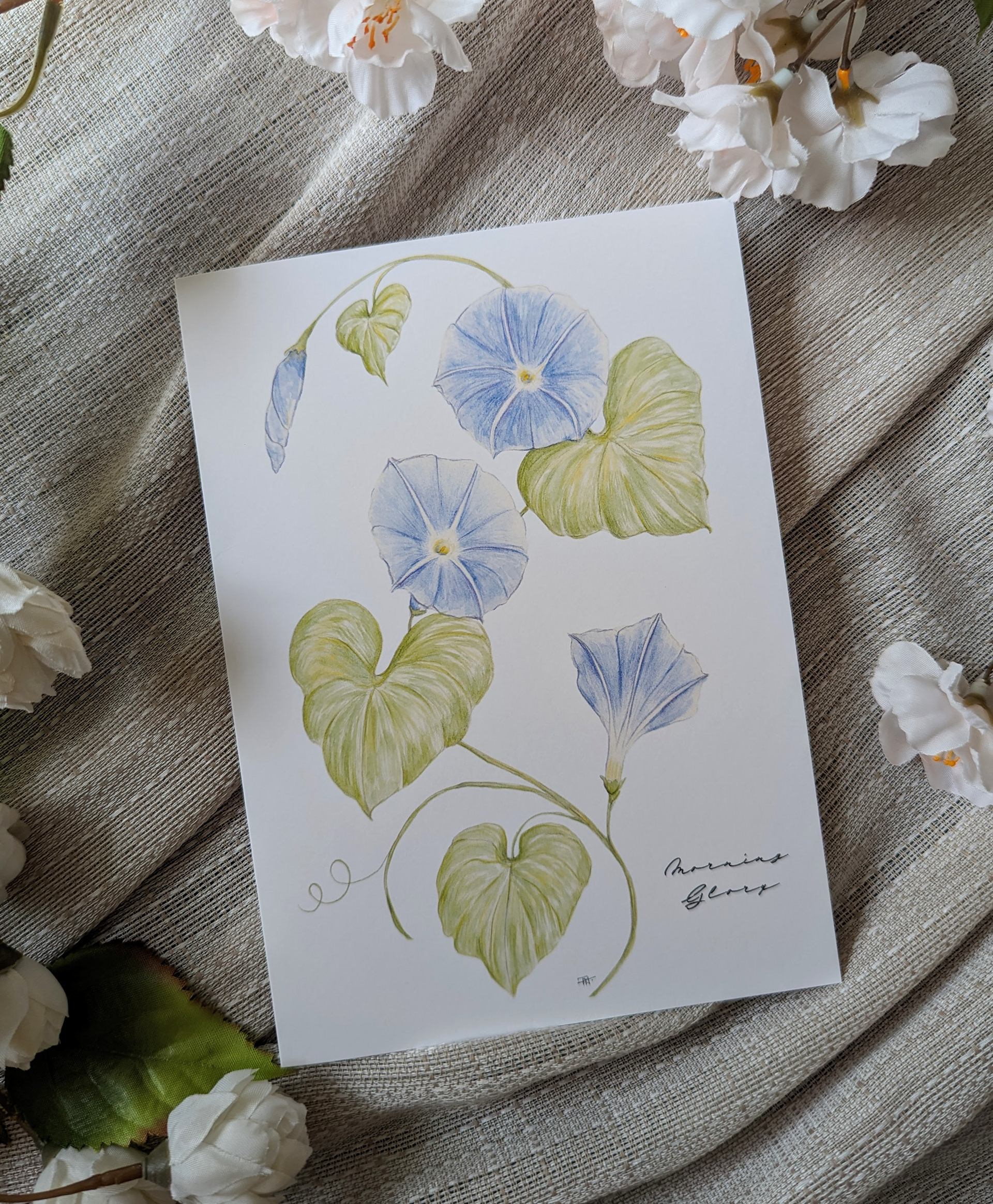 Morning Glory 5x7