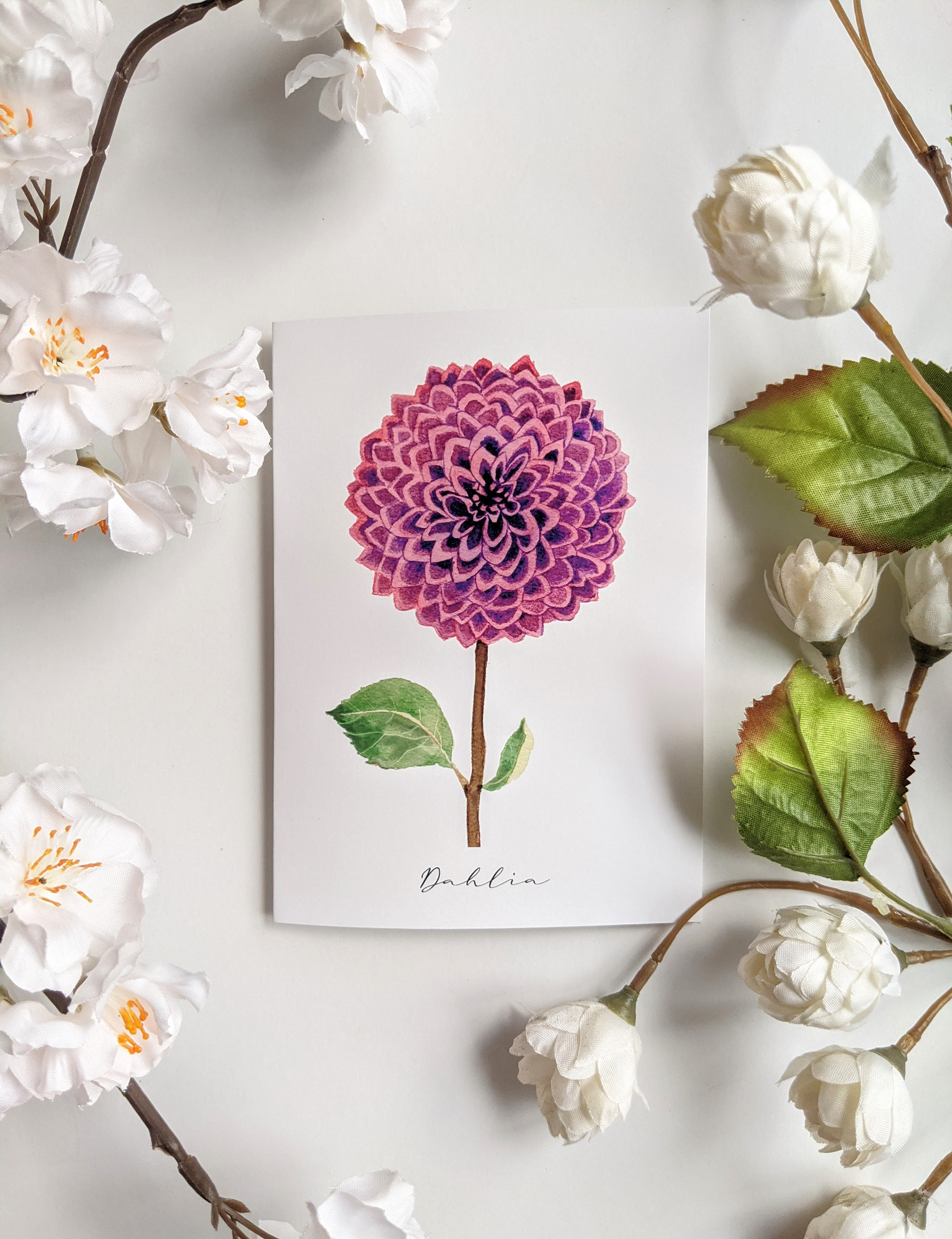 Dahlia