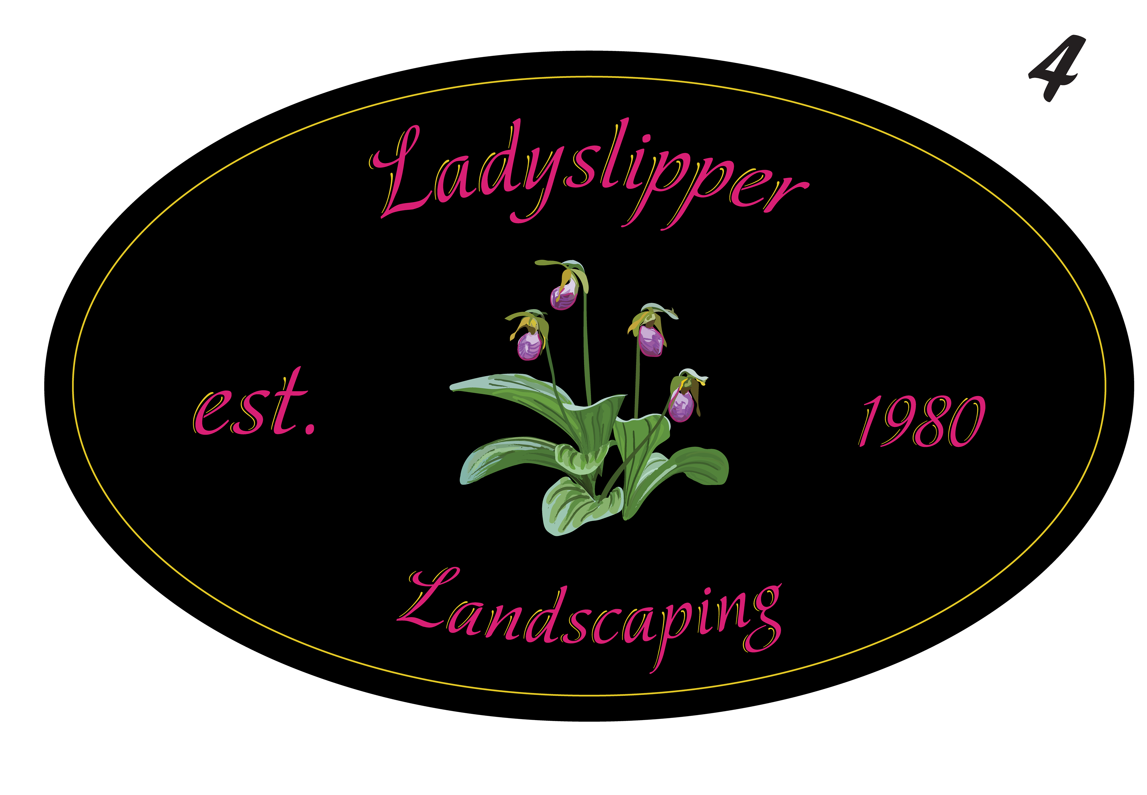 Ladyslipper logo option 4. The flower is an illustrator painting