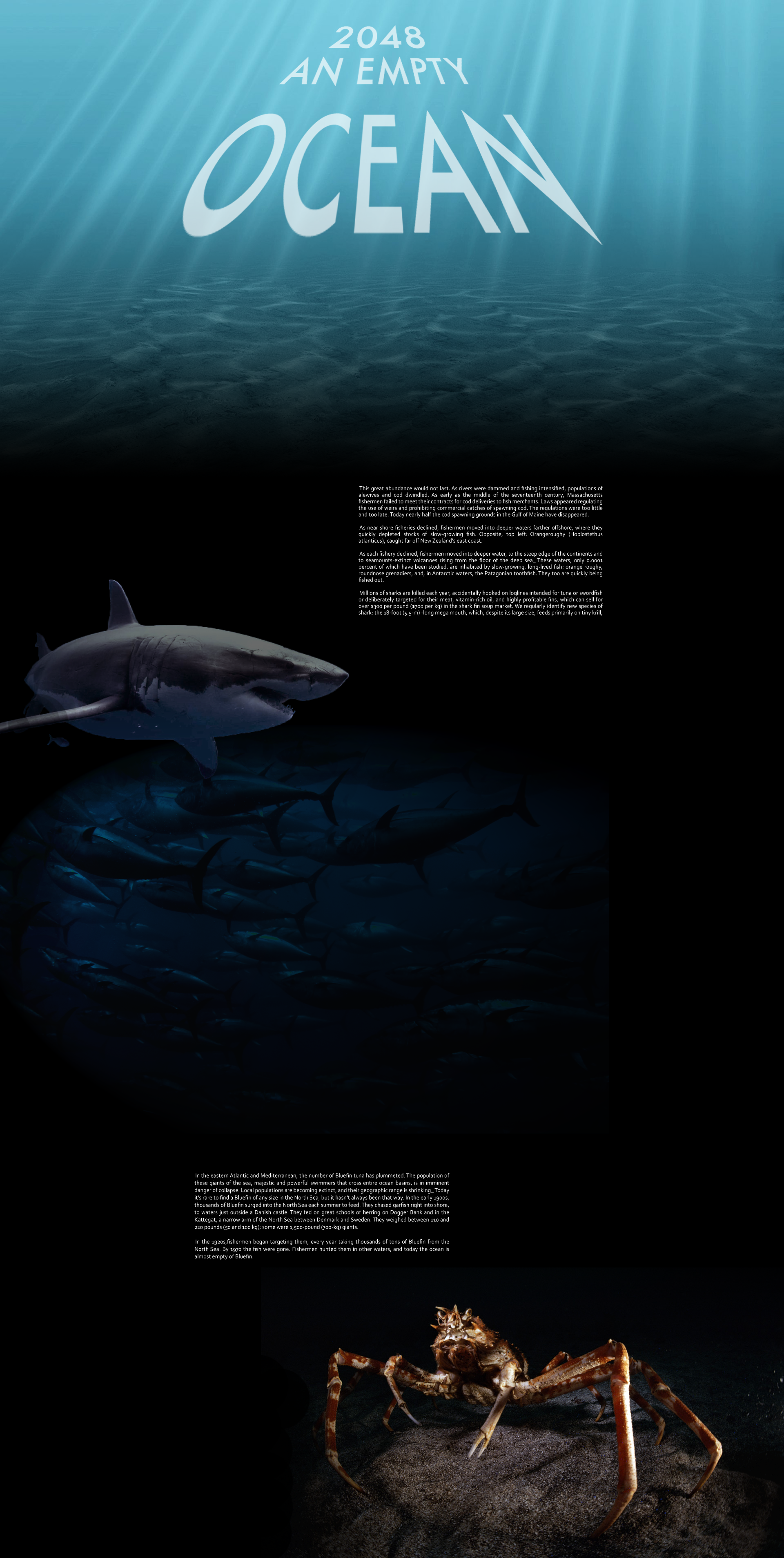 Web design Empty Ocean page with hover/rollover effects.