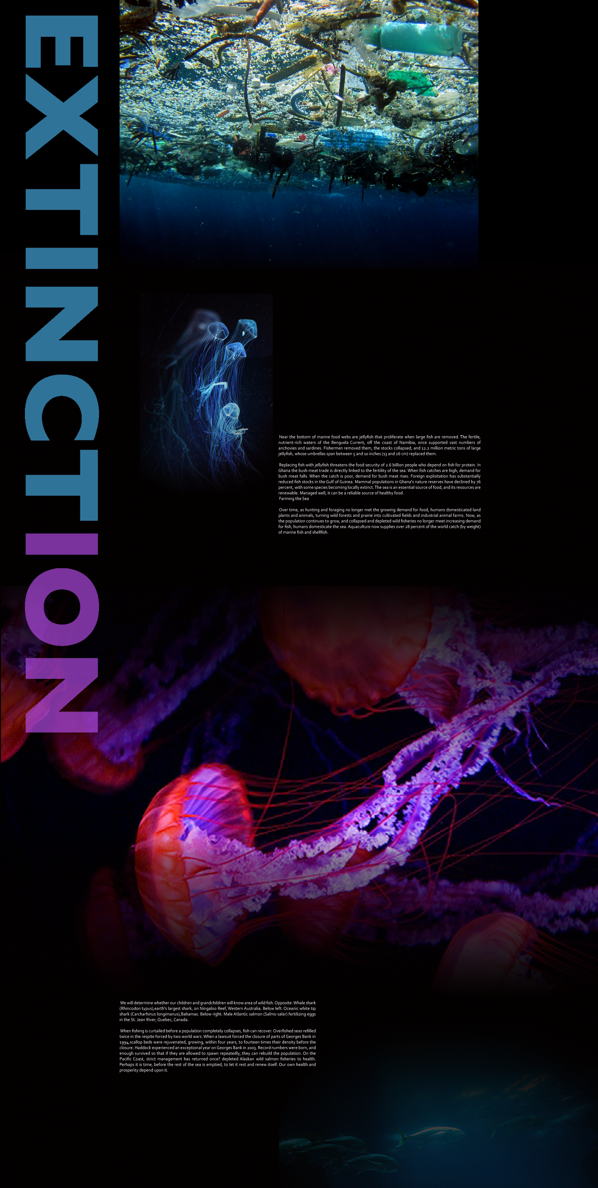 Web design Extinction page with parallax/scrolling effects. Paragraphs come out upon creature rollovers.