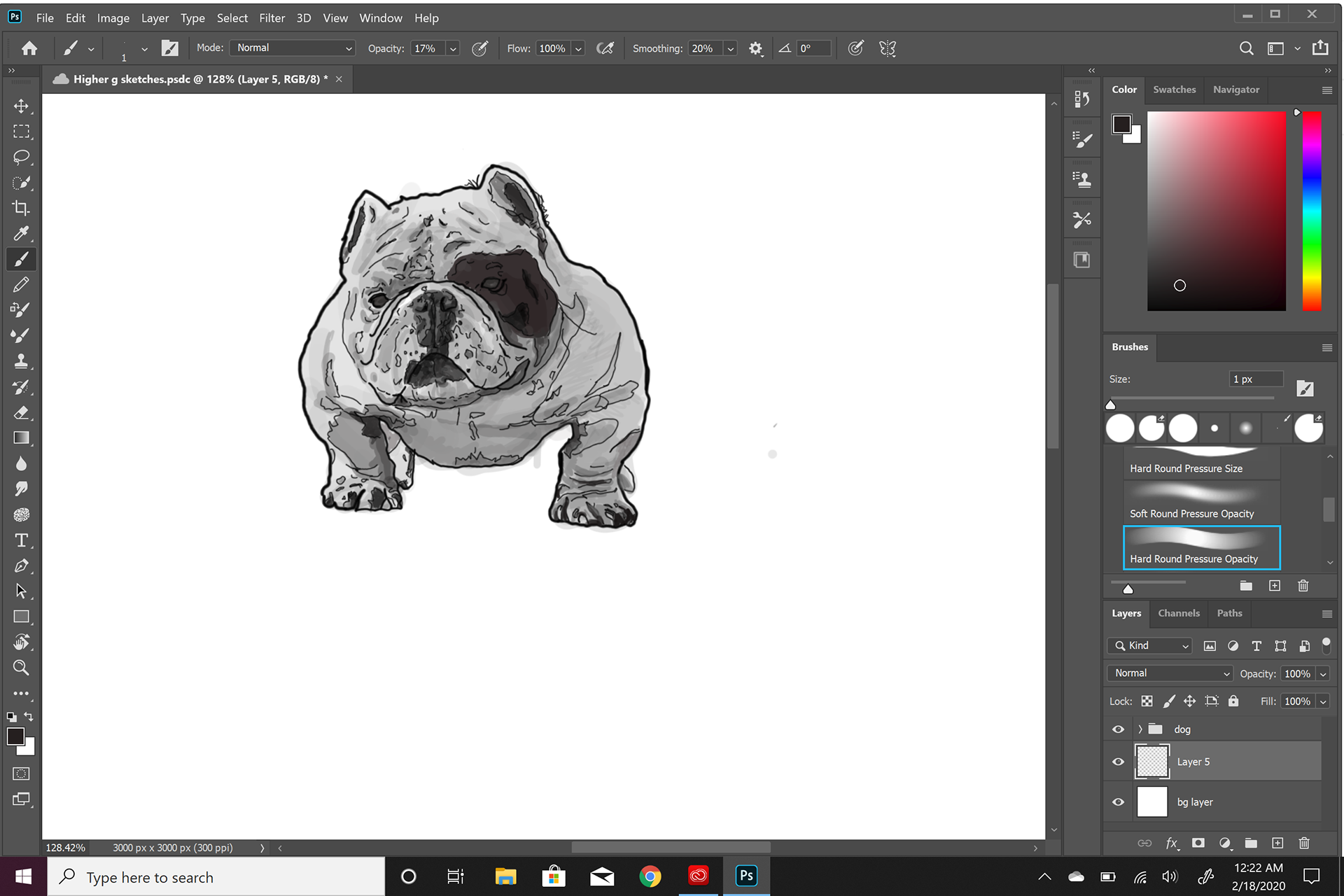 Bull dog digital painting