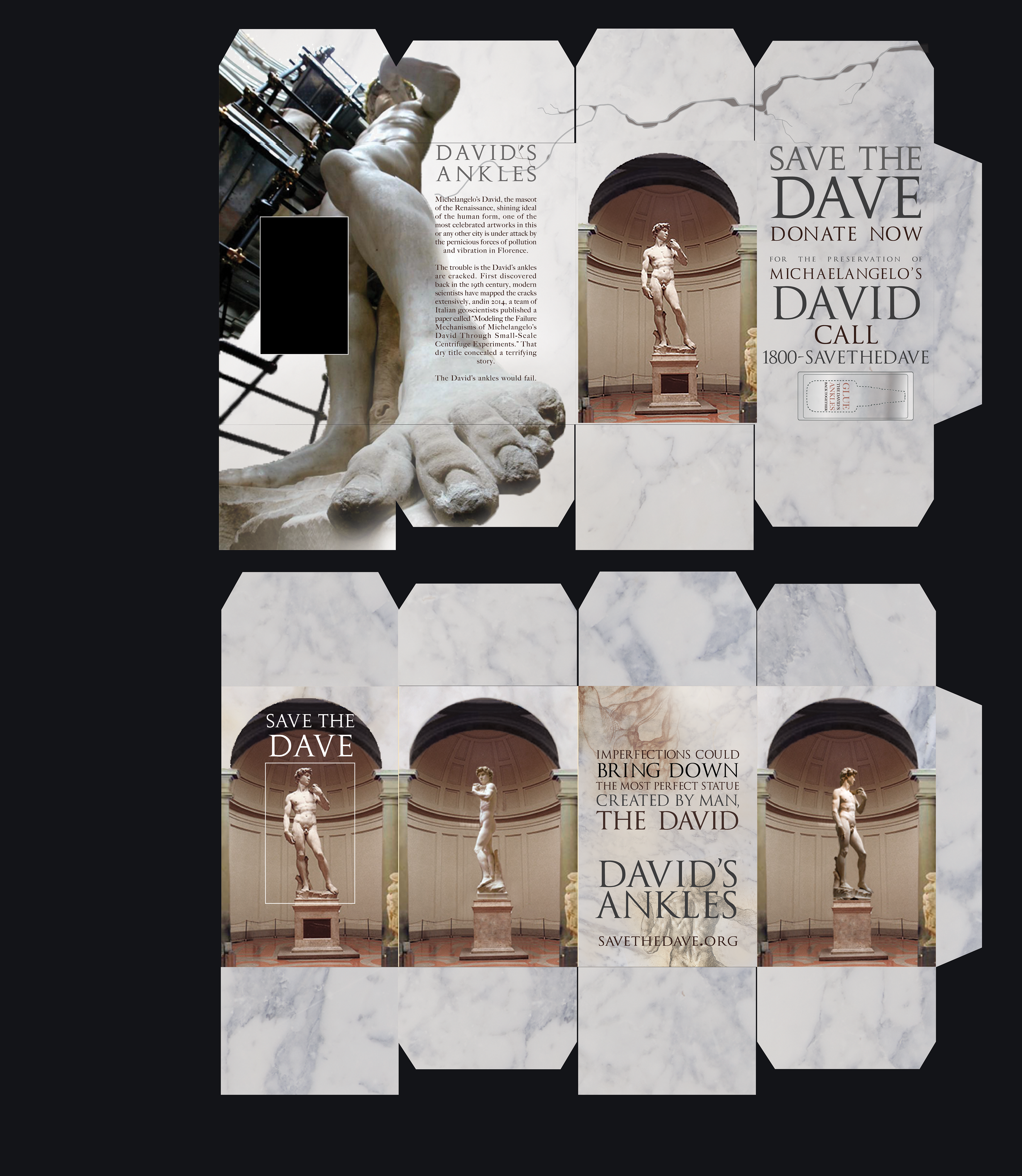 Davids Ankles call to action brochure opened box.