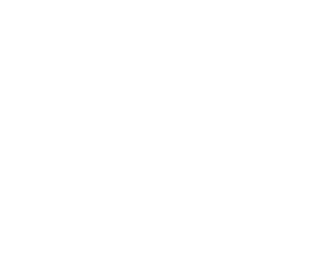 SANTOS 