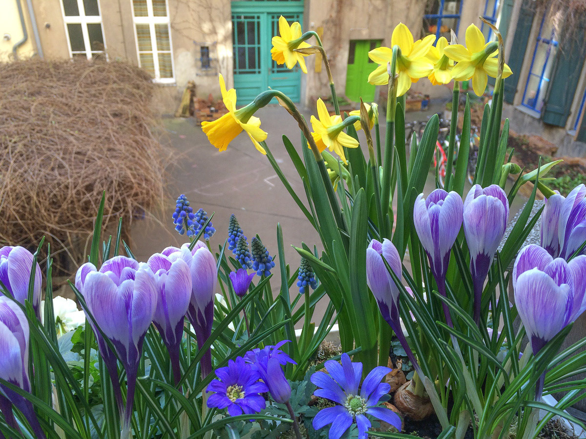 Frühling im 1. Hof