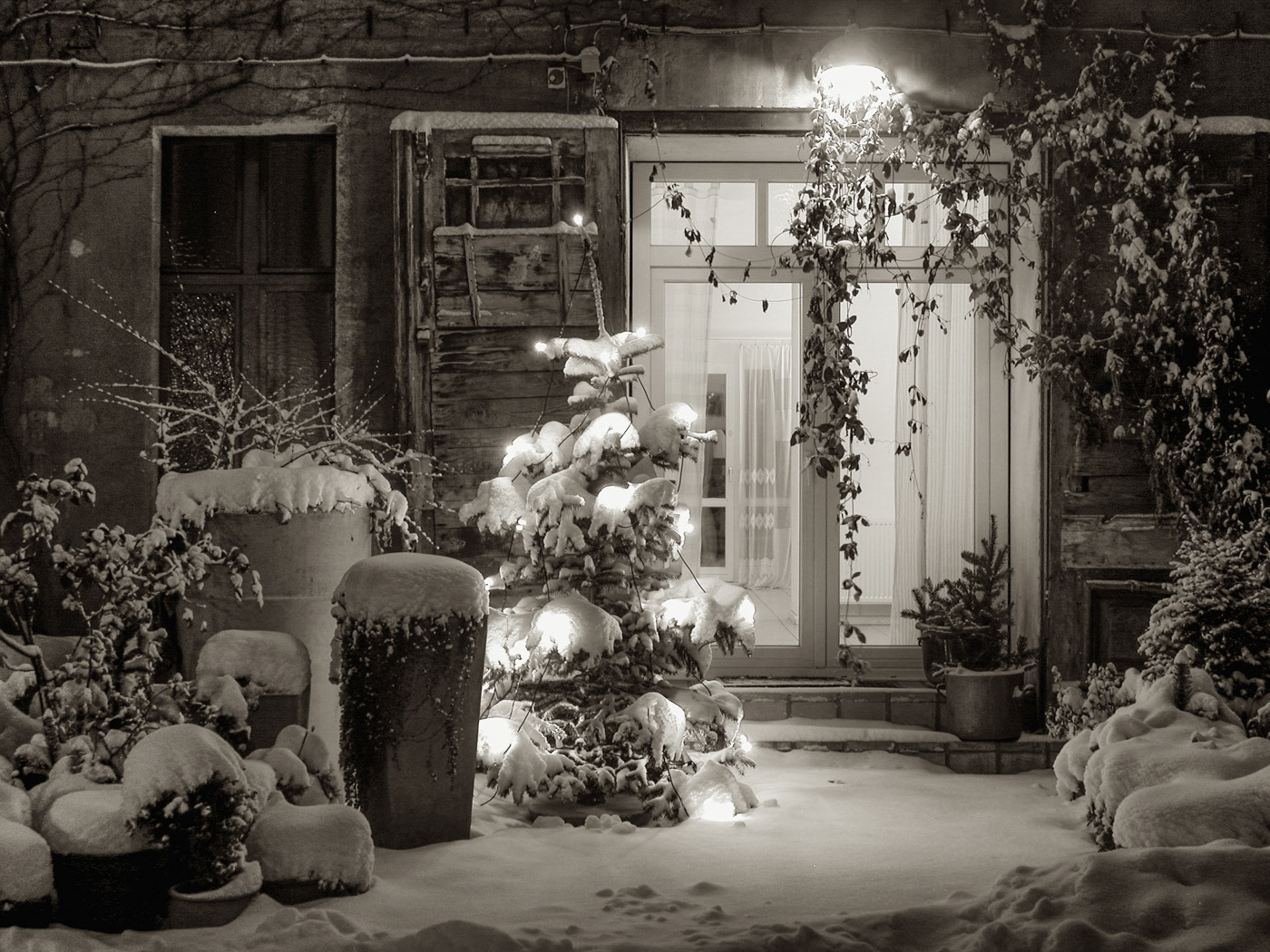 Weihnachten im 1. Hof