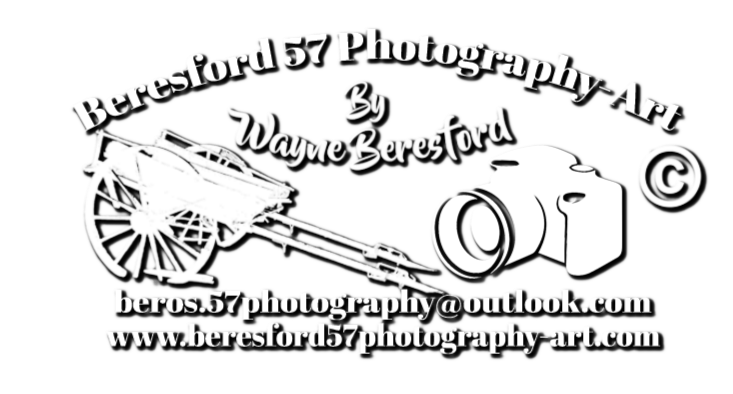 Wayne Beresford