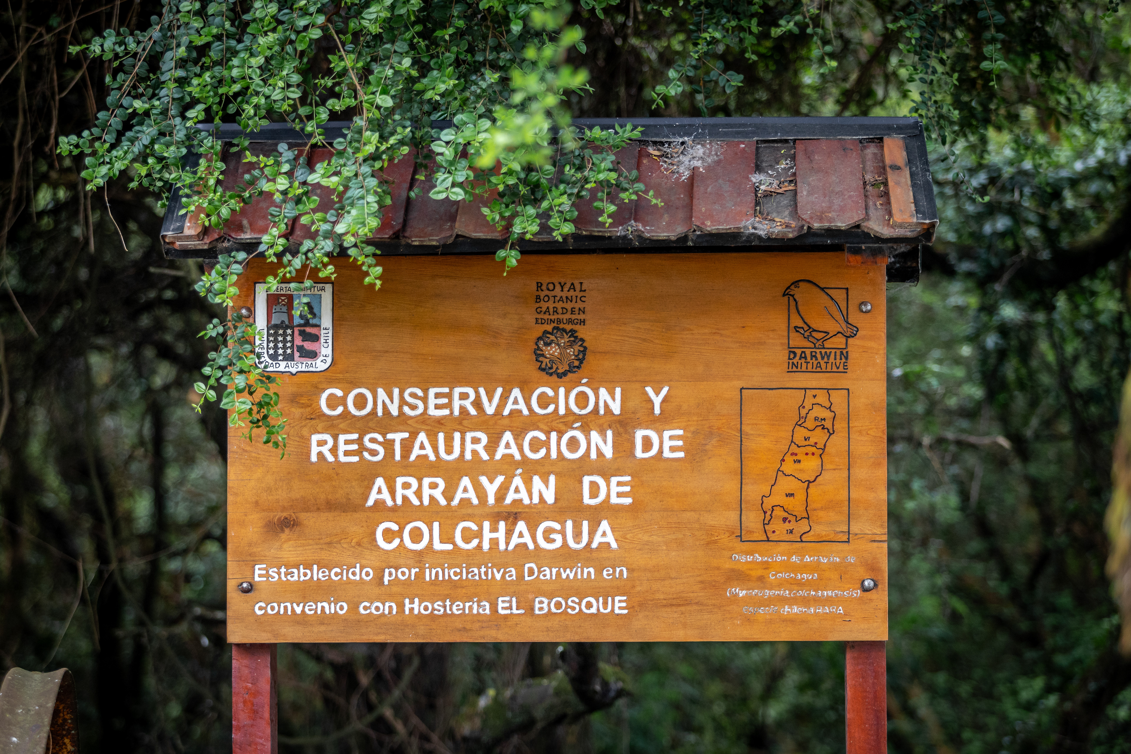 Hostería El Bosque