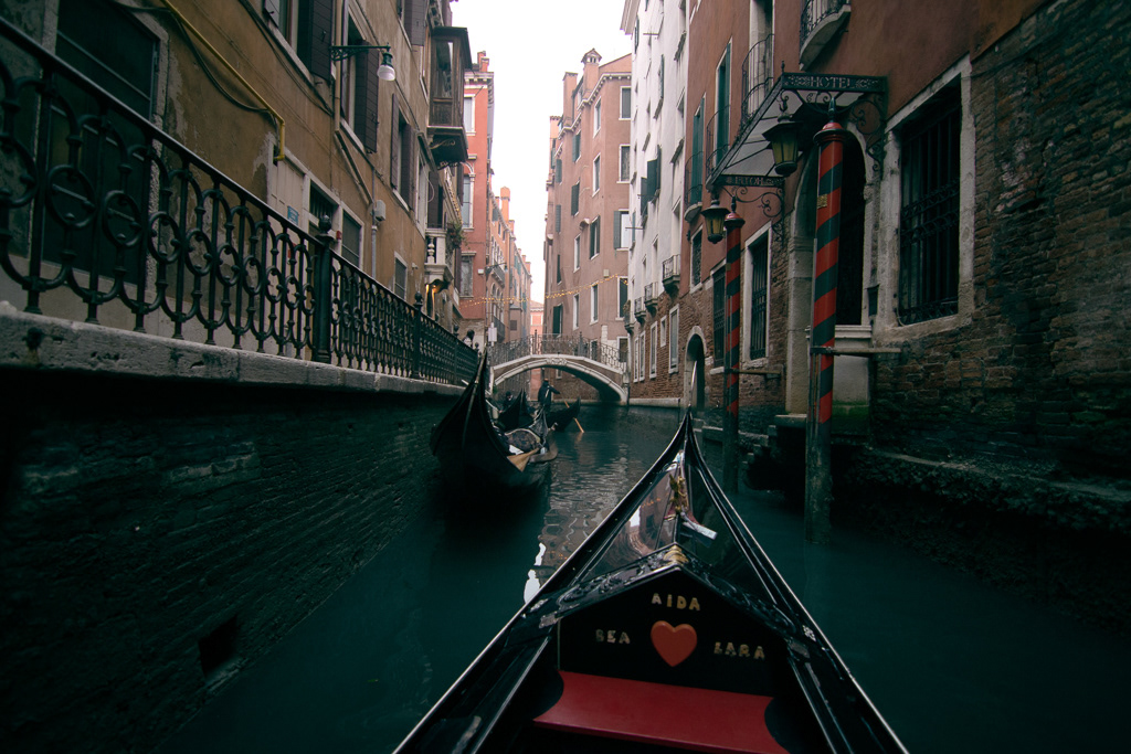 Venice┃James Lanci 2023