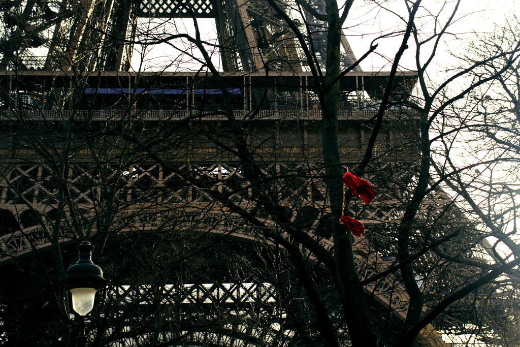 Paris ┃James Lanci 2023